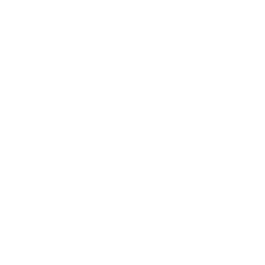 Team icon
