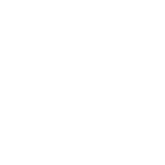 Award icon