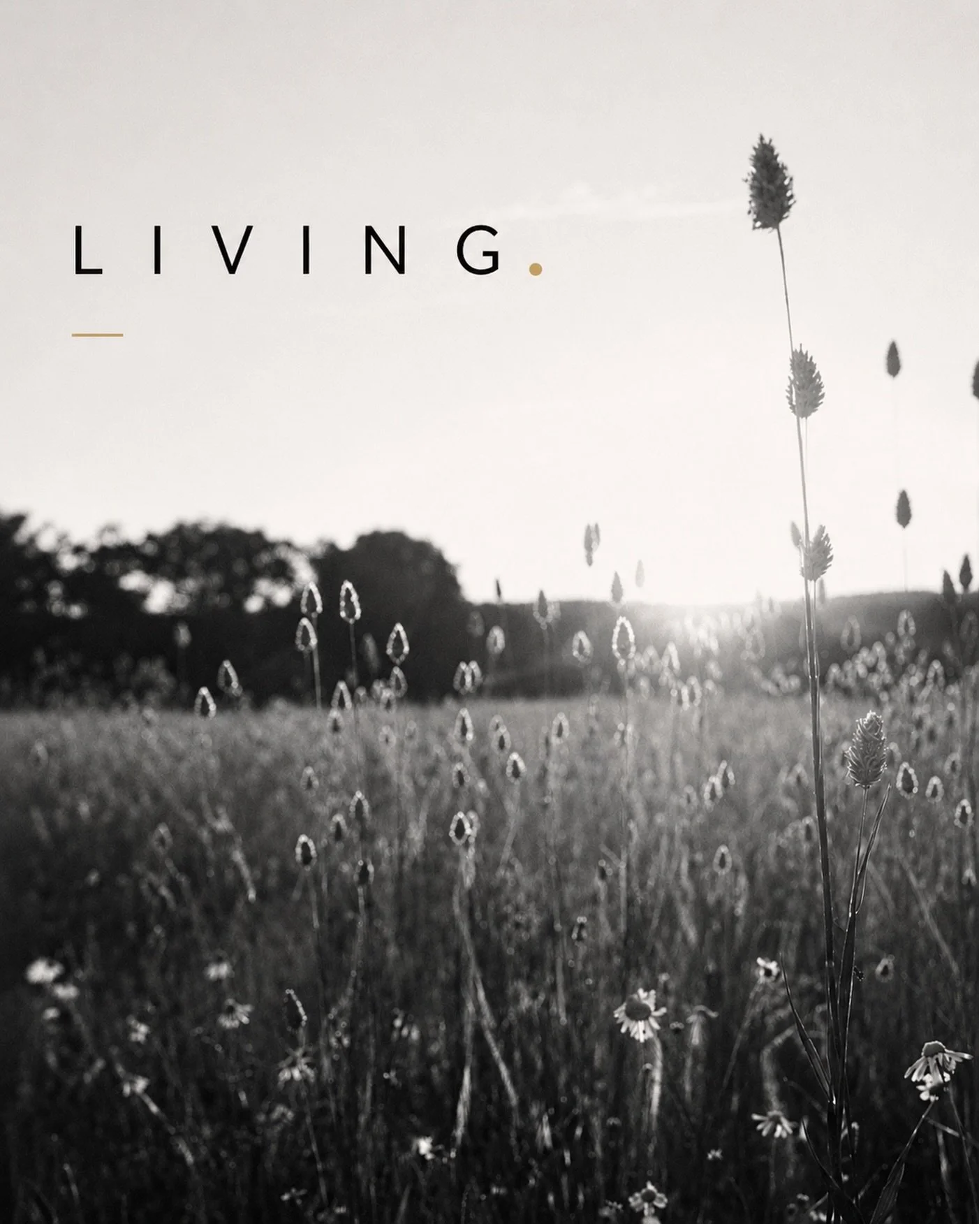 We believe living is part of the creative process.

The books we read.
The places we go. The music we listen to. The people we meet. The conversations we have. The things we notice.

Creativity doesn&rsquo;t suddenly switch on when we sit down at a d