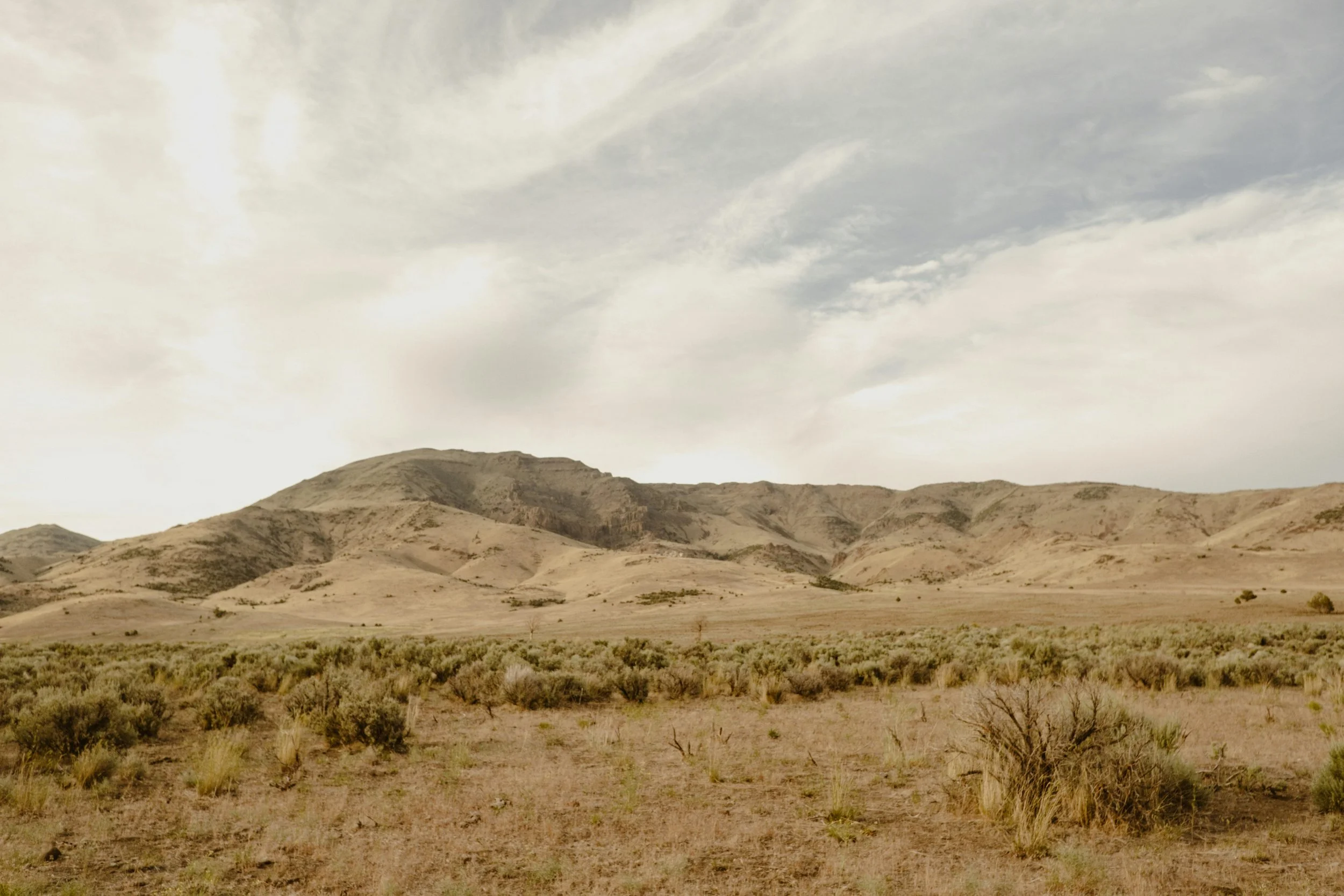 Arid desert landscape in Carson City, Nevada, with rolling hills and sparse vegetation under a cloudy sky.