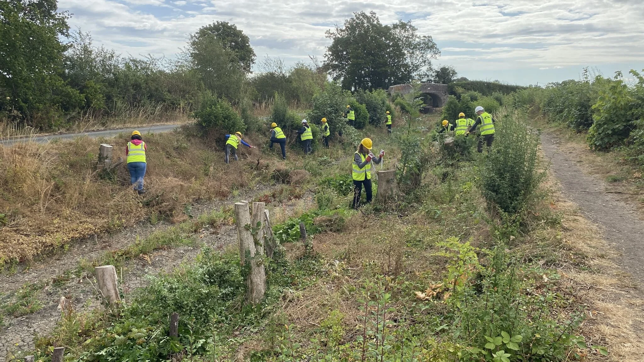 Group of people wearing yellow safety vests and hard hats planting trees along a hillside next to a dirt path under cloudy sky.