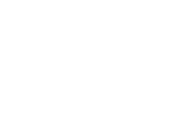 Frosted Flakes cereal box logo