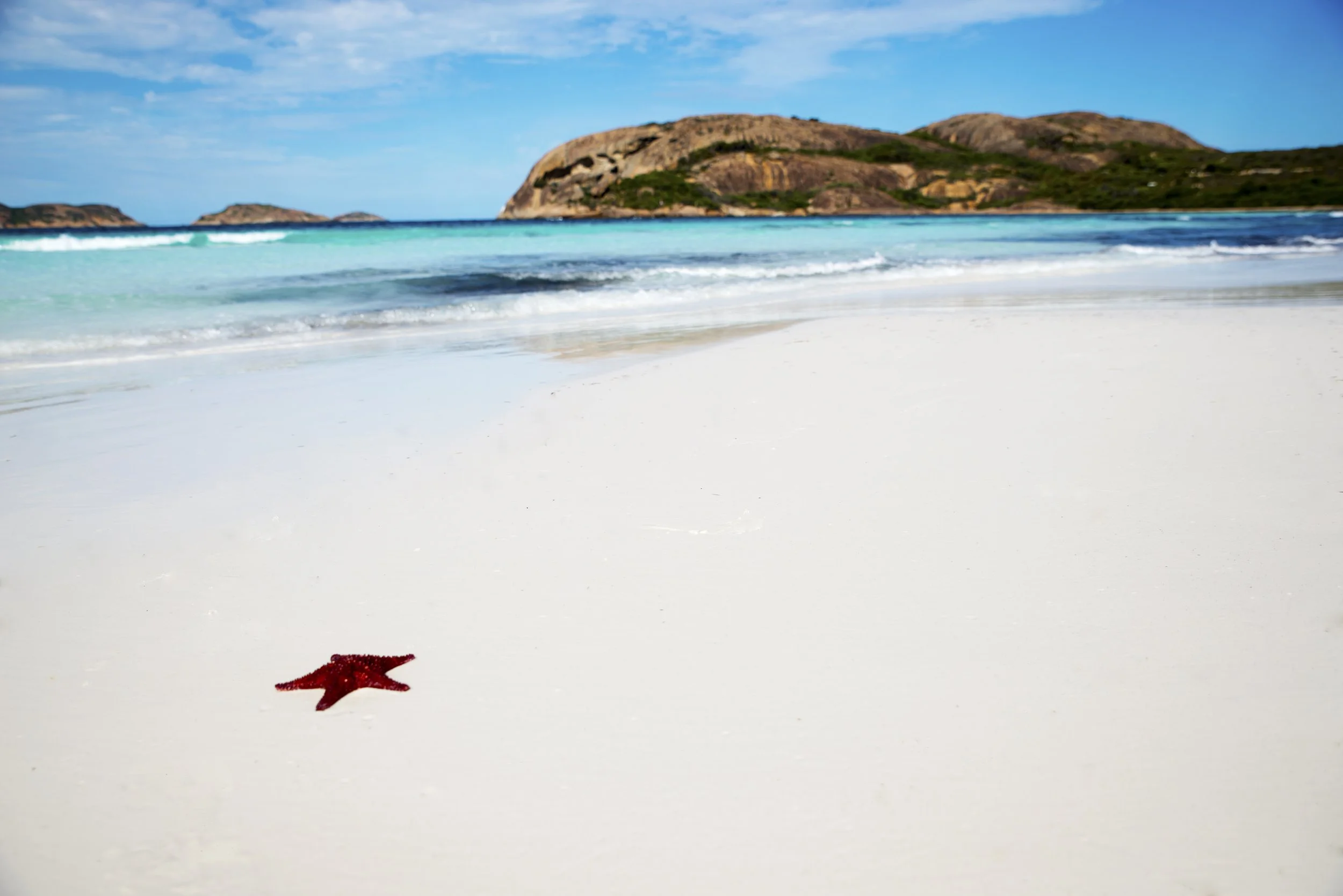 Lucky Bay days, Esperance.jpg