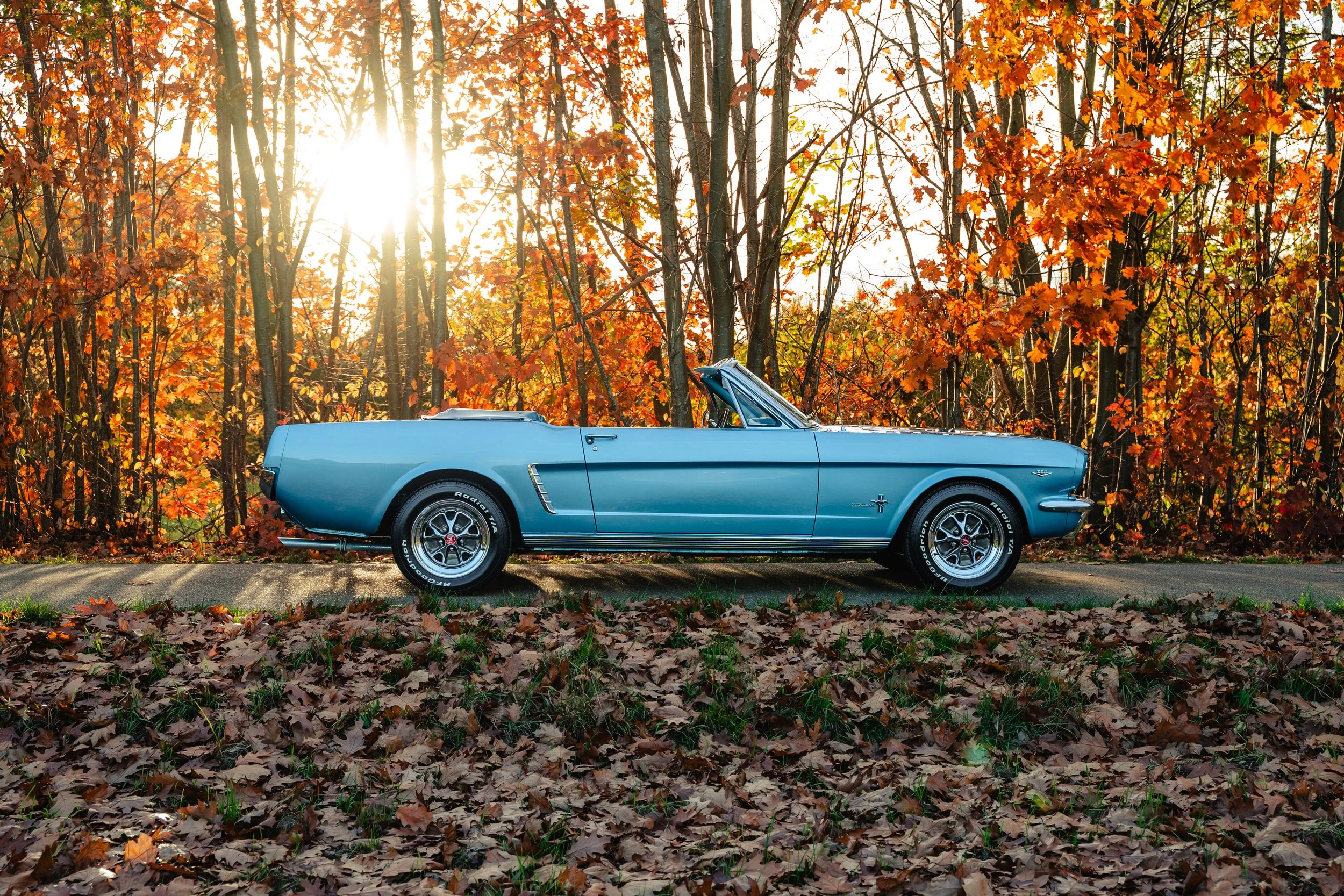 EB - Mustang-04.jpeg