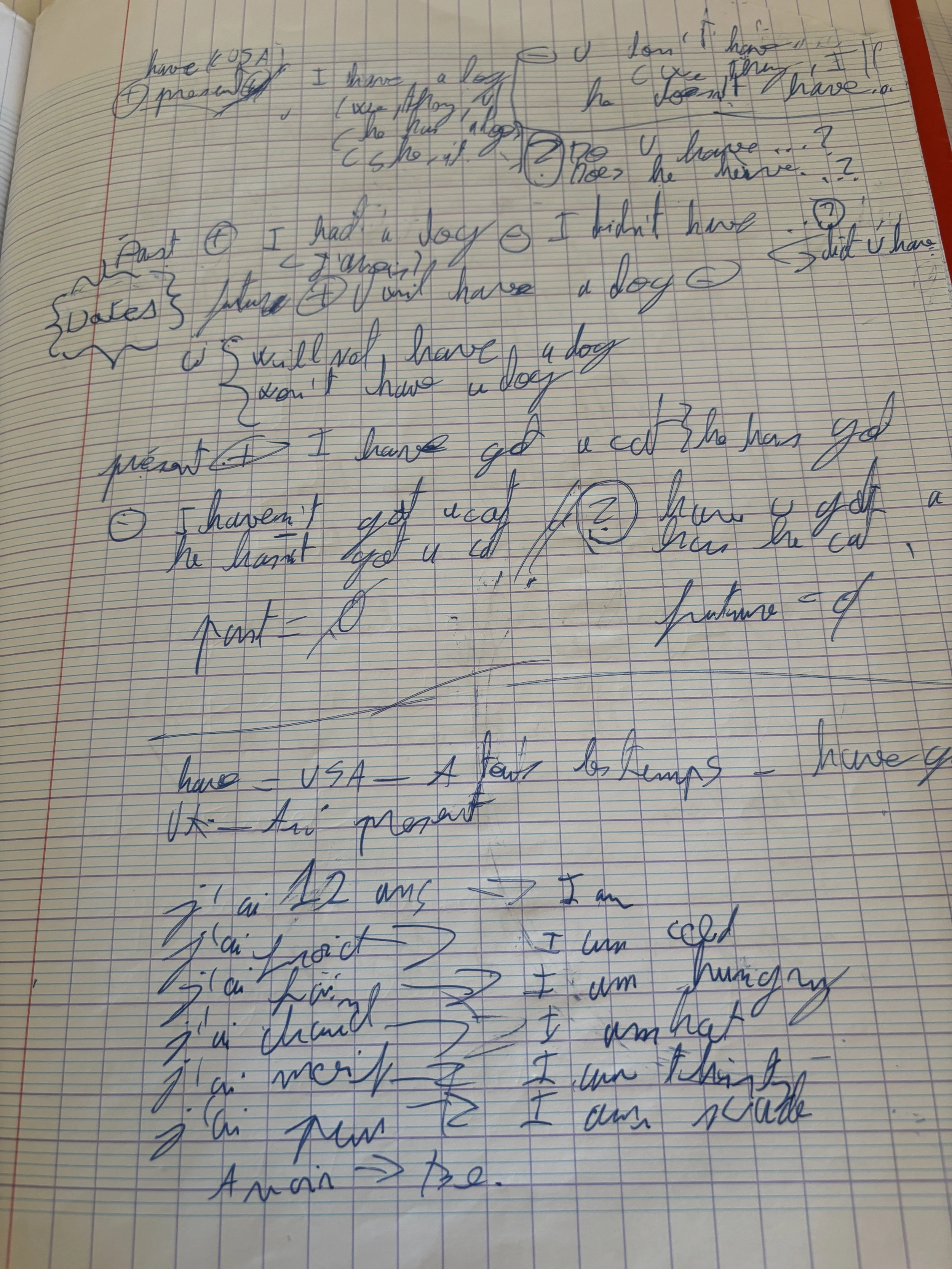 Une page de carnet avec des notes manuscrites en bleu contenant des phrases et des dessins, entourées par un cadre rouge.