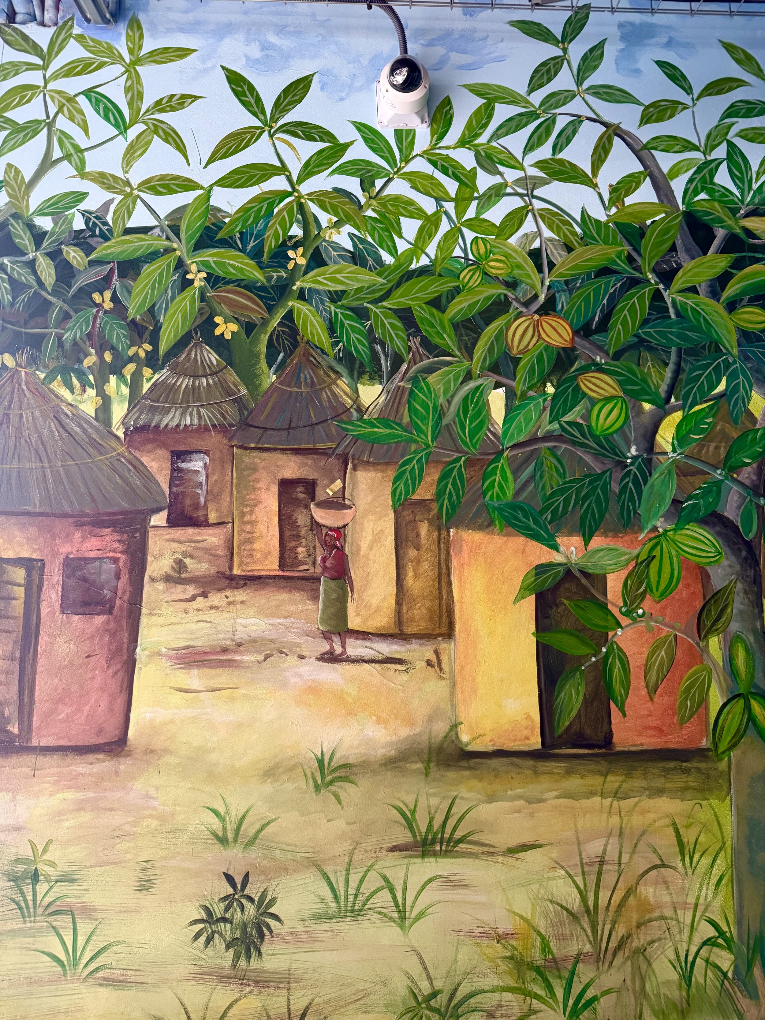 Ivory Coast