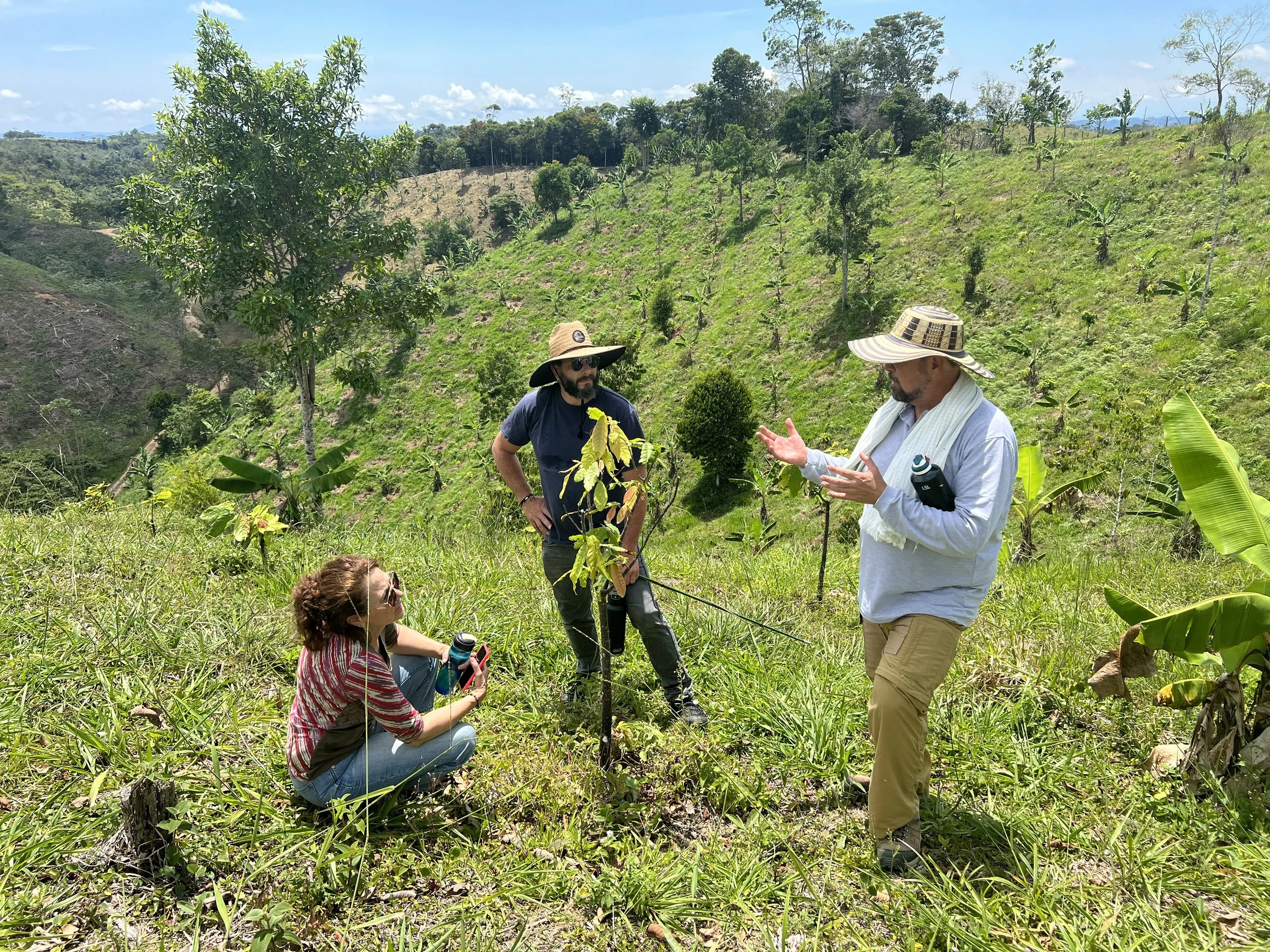 Grafting-Betulia.JPG