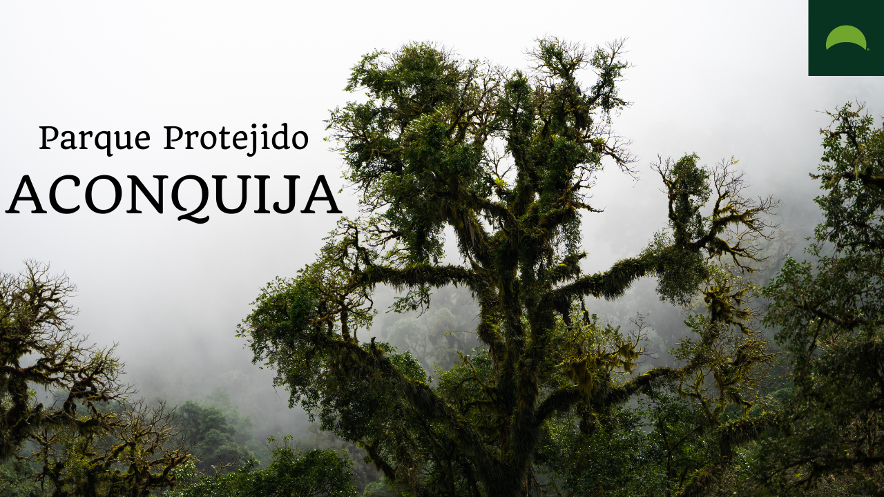 Aconquija