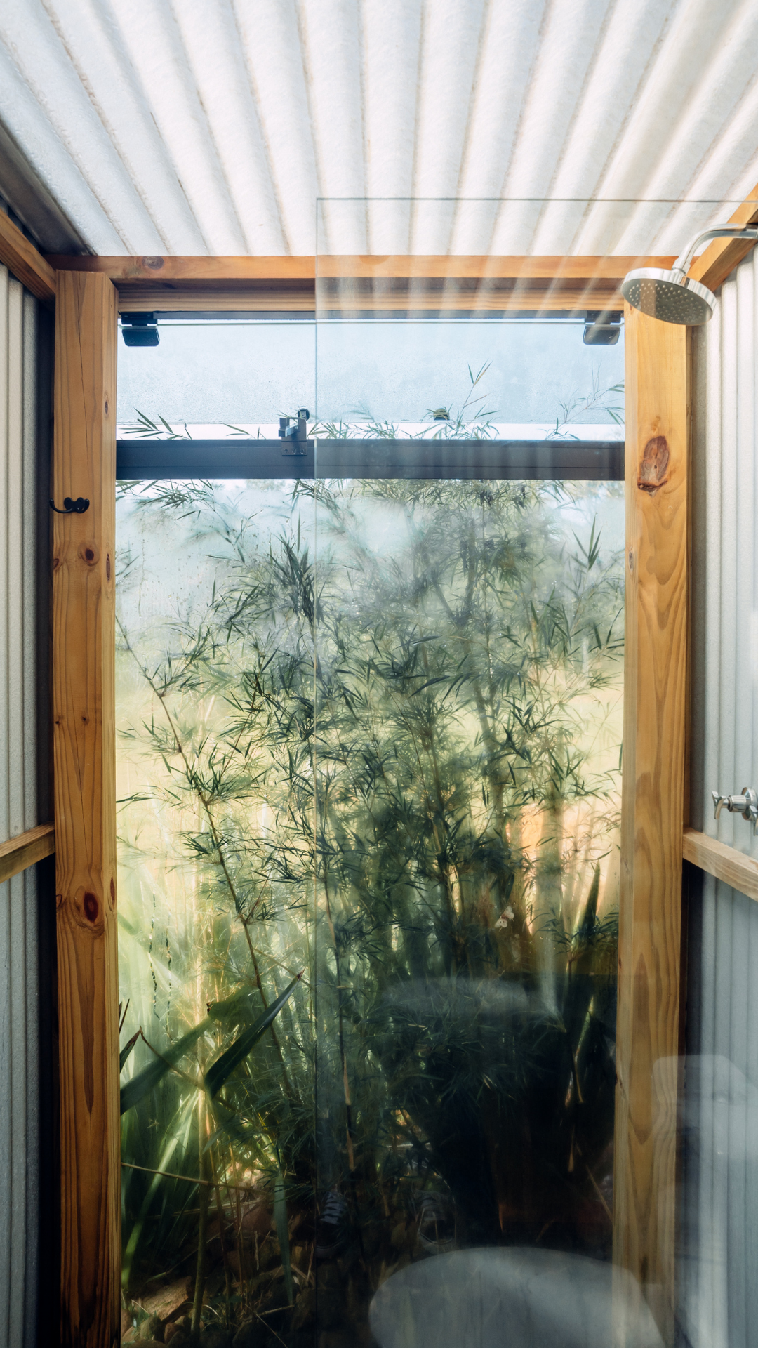 Um chuveiro com porta de vidro e vista para plantas altas e verdes do lado de fora.