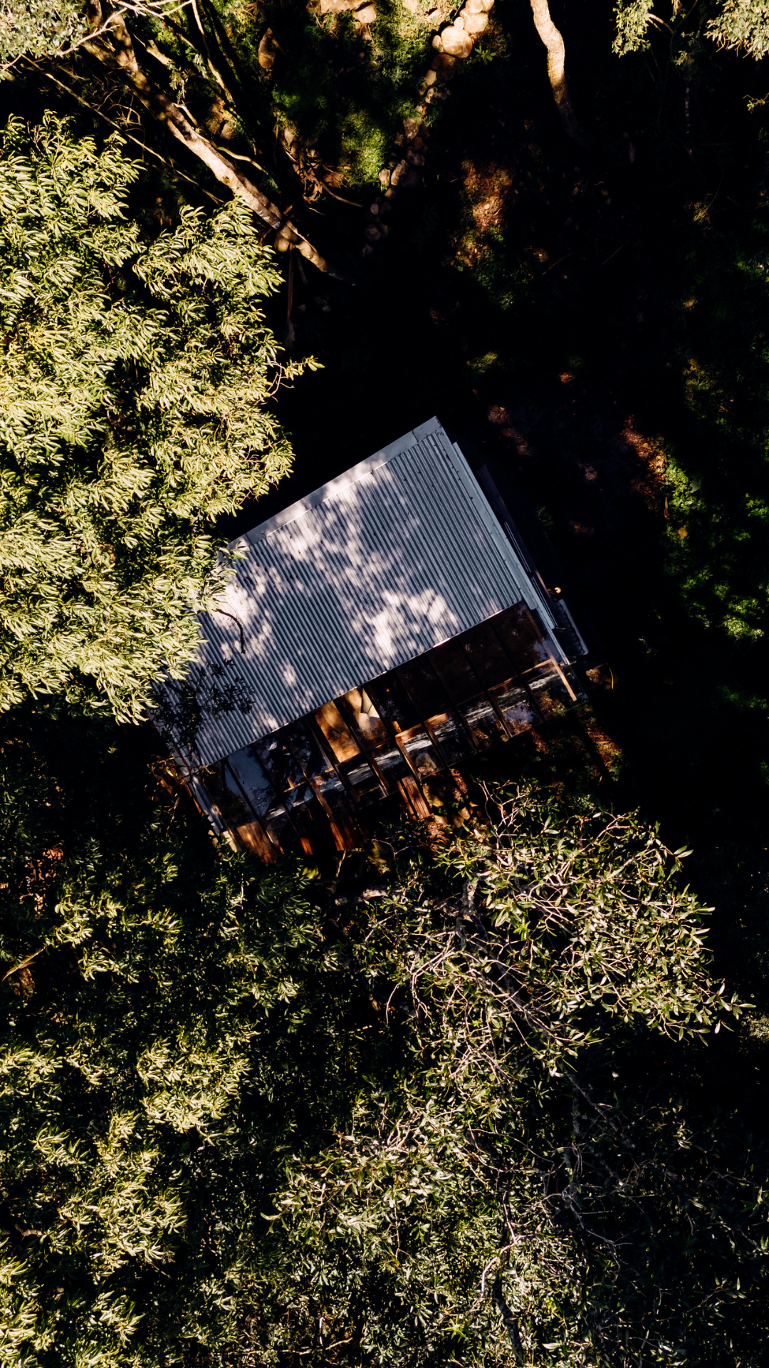 Overhead view of a house with a metal roof, surrounded by dense green trees and foliage.