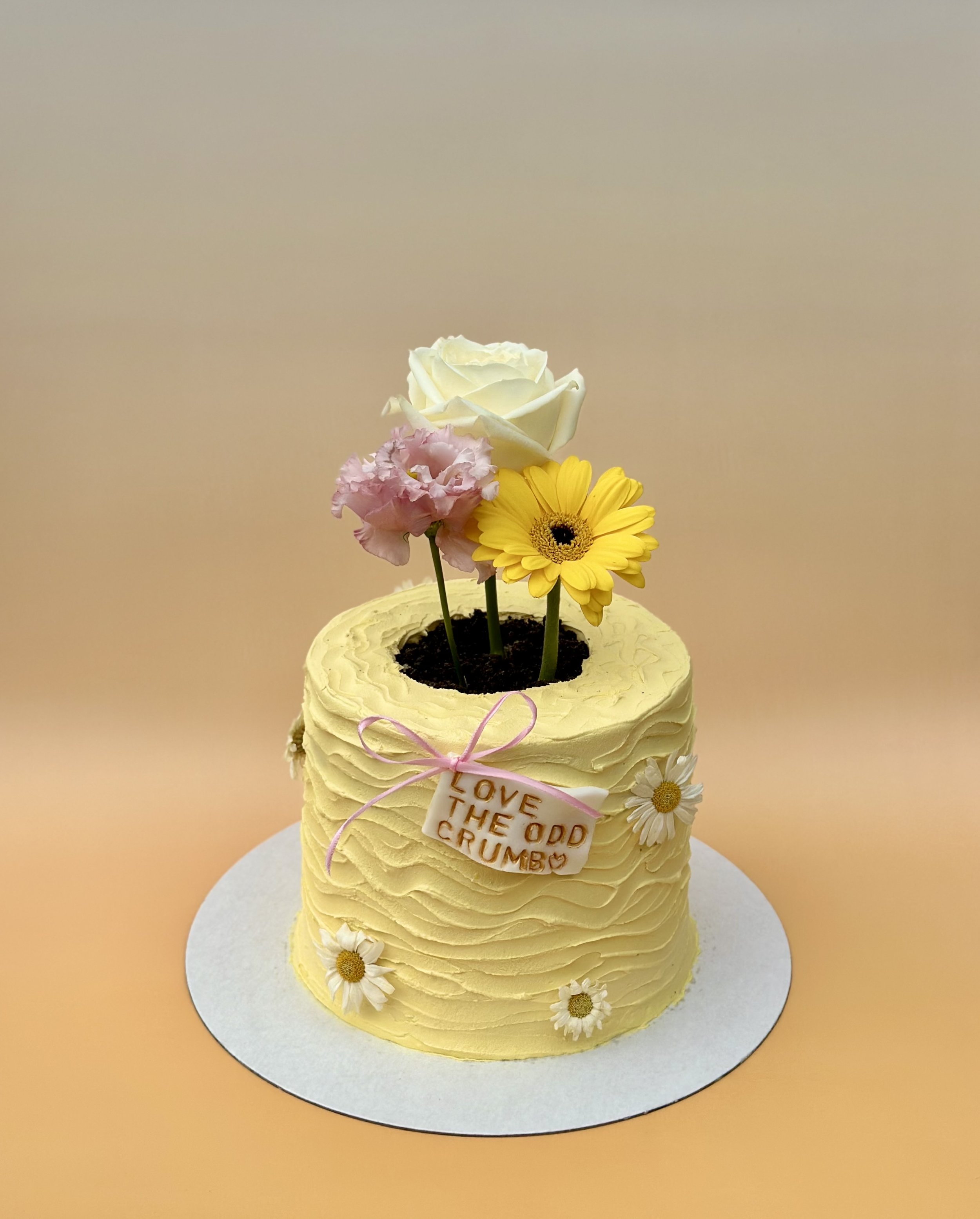 Flower pot or cake? This cake came with real flowers included