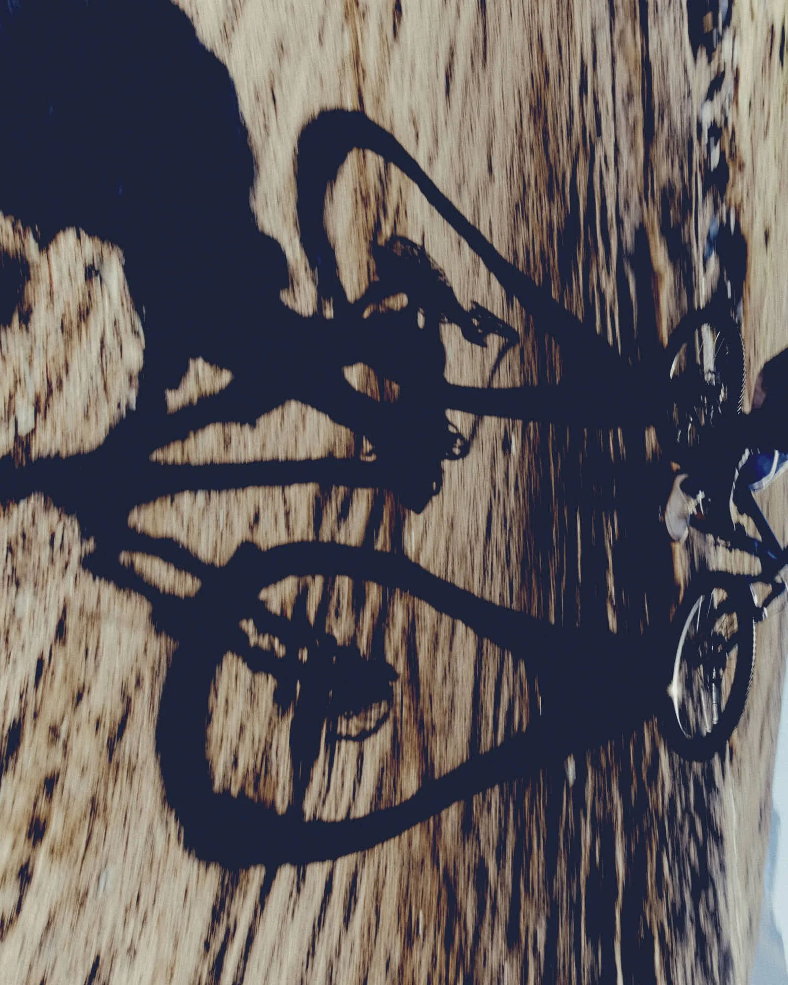 20250403_Endura_MT500_02_1708.jpg