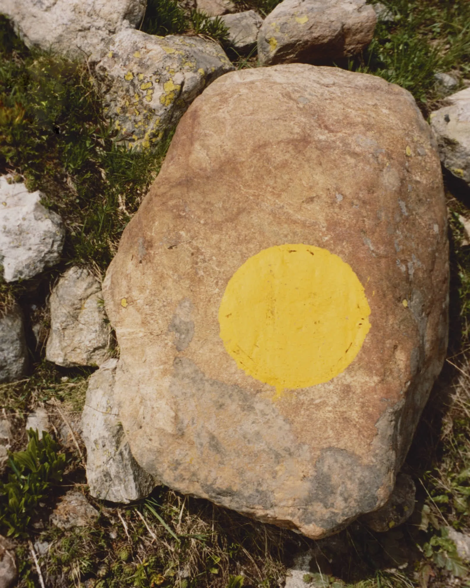 A trail marker painted on a large rock in a natural outdoor setting with grass and smaller rocks surrounding it.
