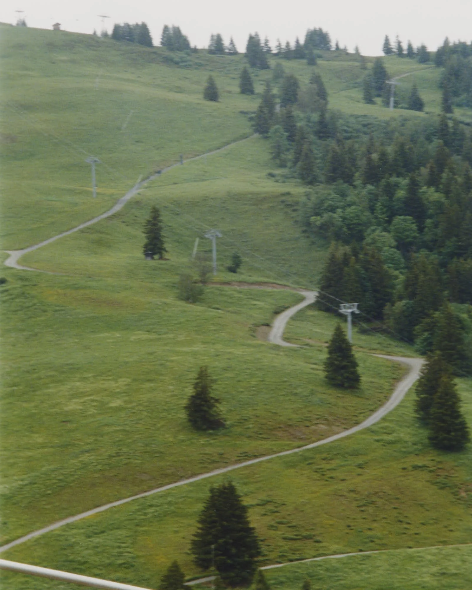 A green hillside with small trees and winding dirt paths.