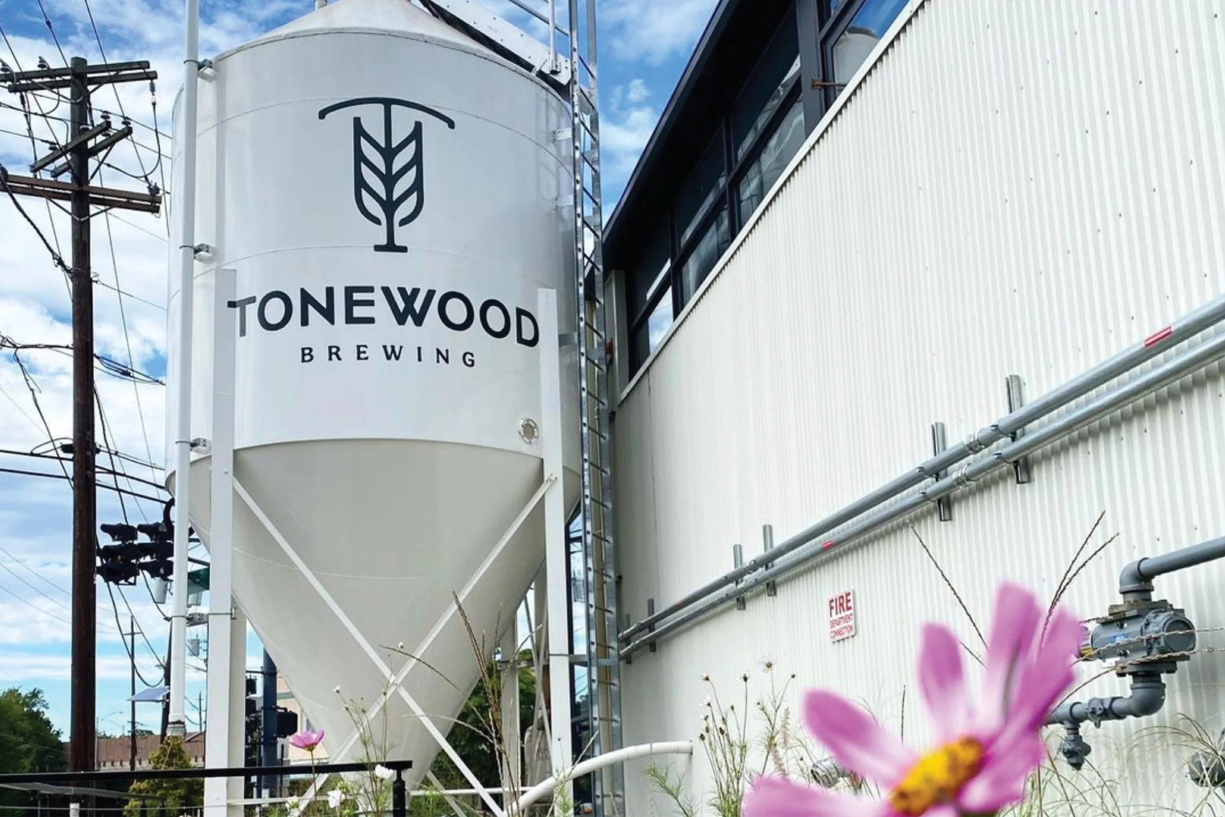 Tonewood.jpg