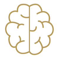 Outline drawing of a human brain in beige color.