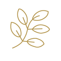 Leaf icon