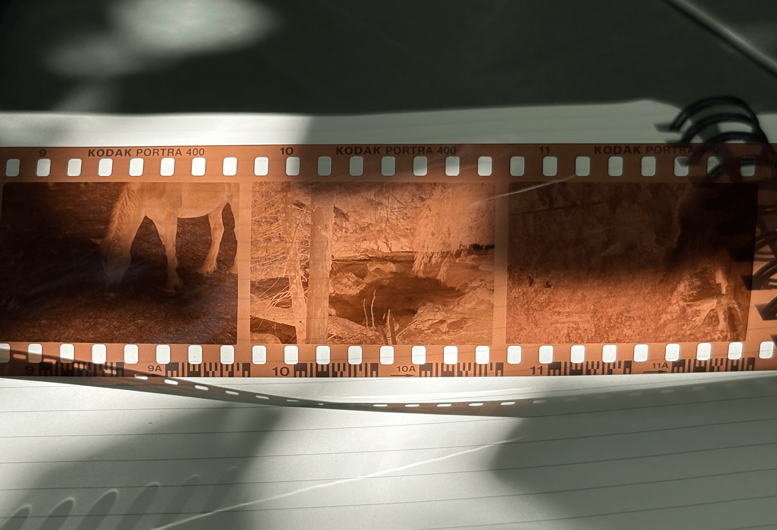 Analog film