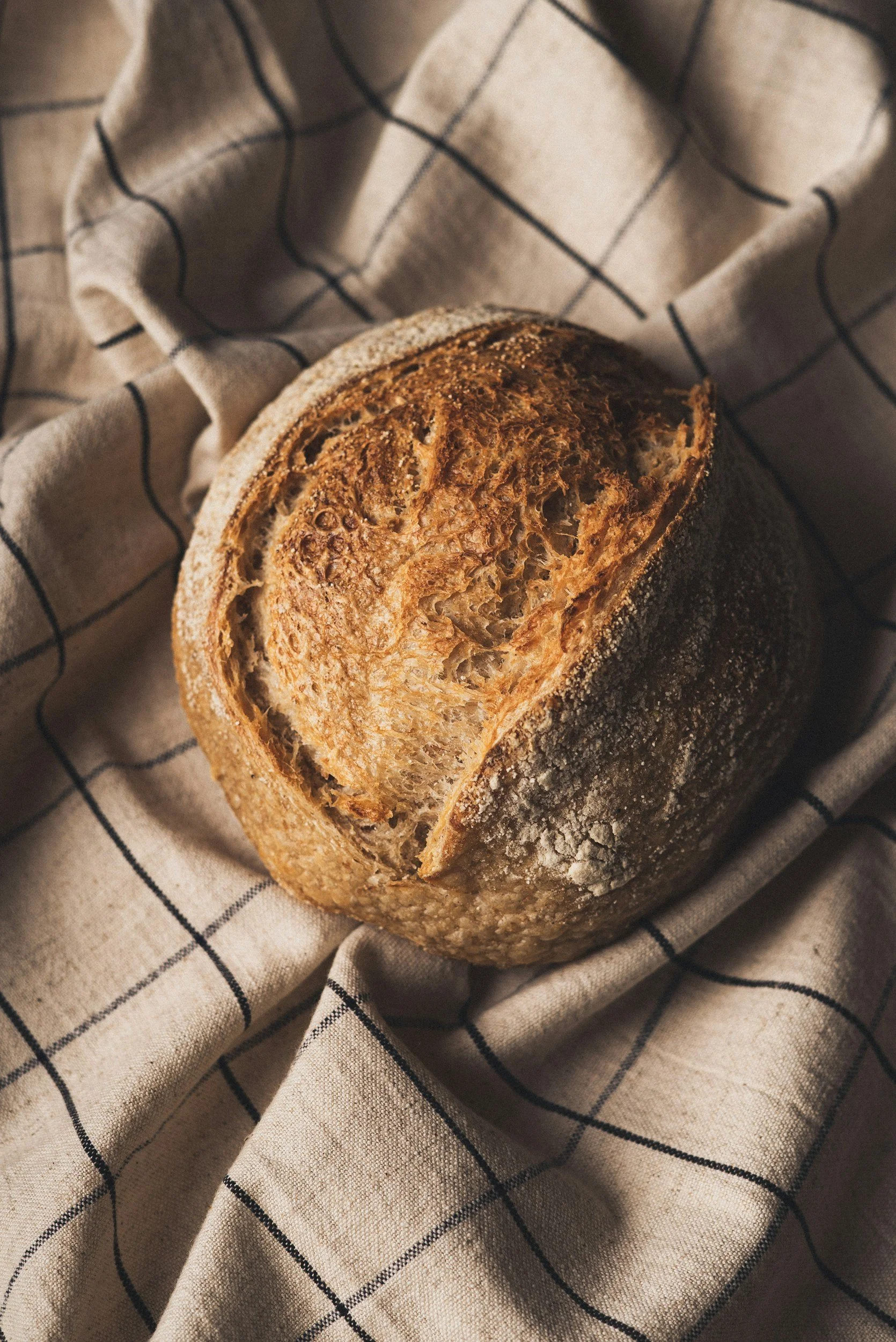 unsplash-image-SuCty-PXrq0.jpg