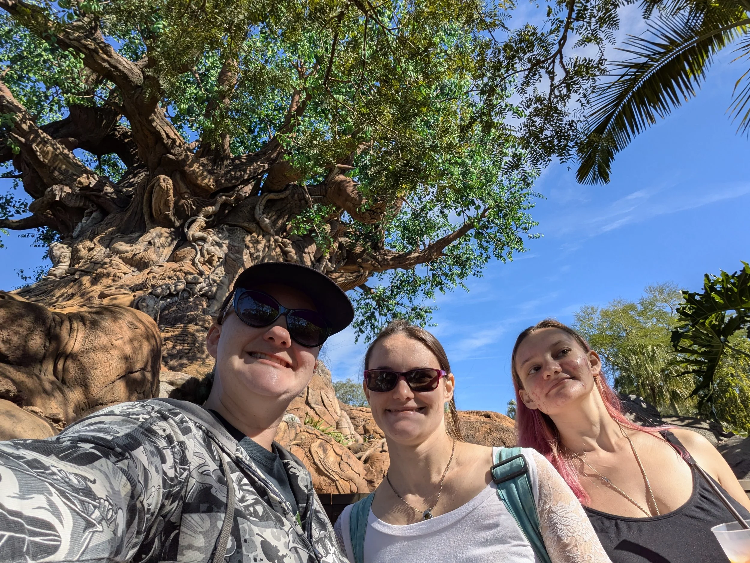 Animal Kingdom Florida