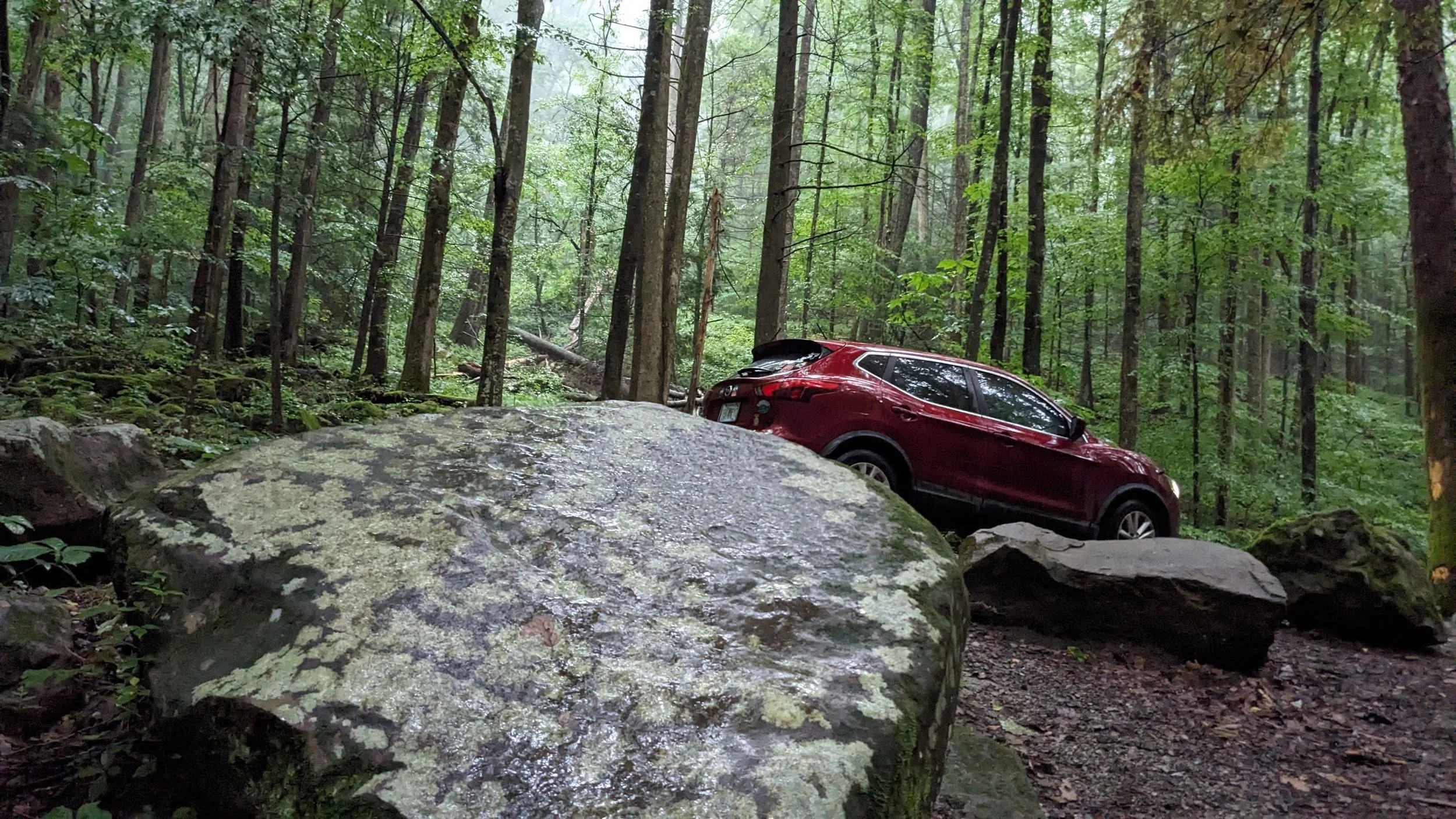 Red SUV parked on a rocky forest trail surrounded by tall trees and dense green foliage.
