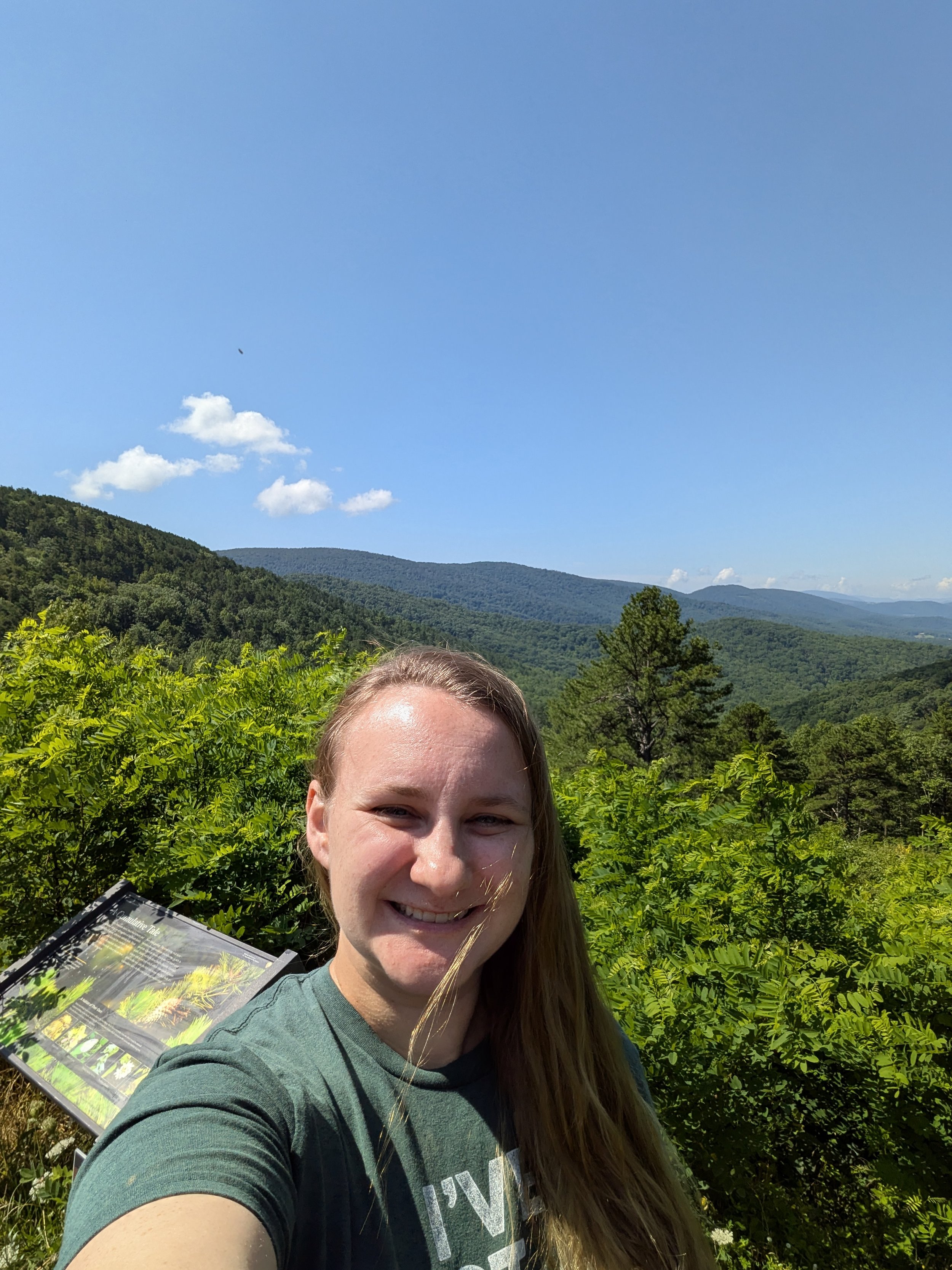 Skyline drive Shenadoah National Park