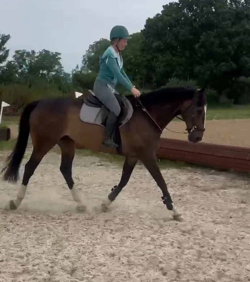 How to know if your horse needs physio. 3 Signs you Shouldn’t Ignore