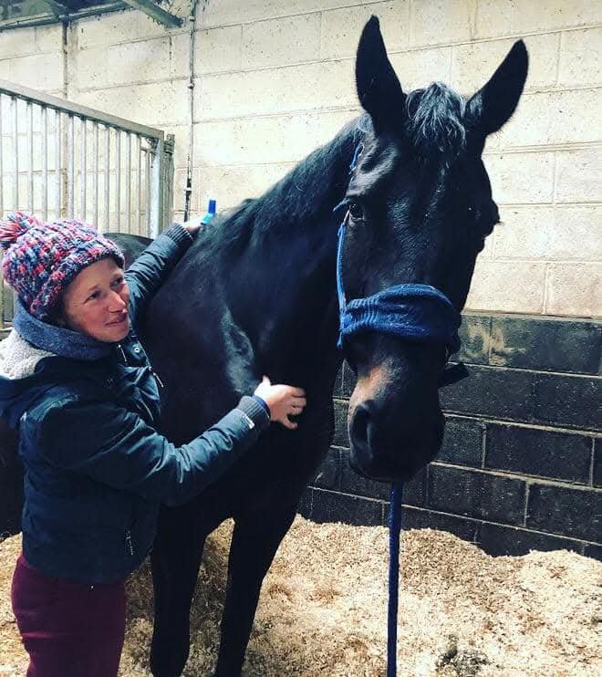 A woman in a colorful hat and jacket stands beside a black horse with a blue halter, inside a stable.