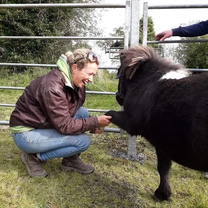 A woman in a brown jacket and blue jeans crouches down, smiling, and shaking hands with a black and white pony through a metal fence.