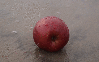 1480052575126.gif