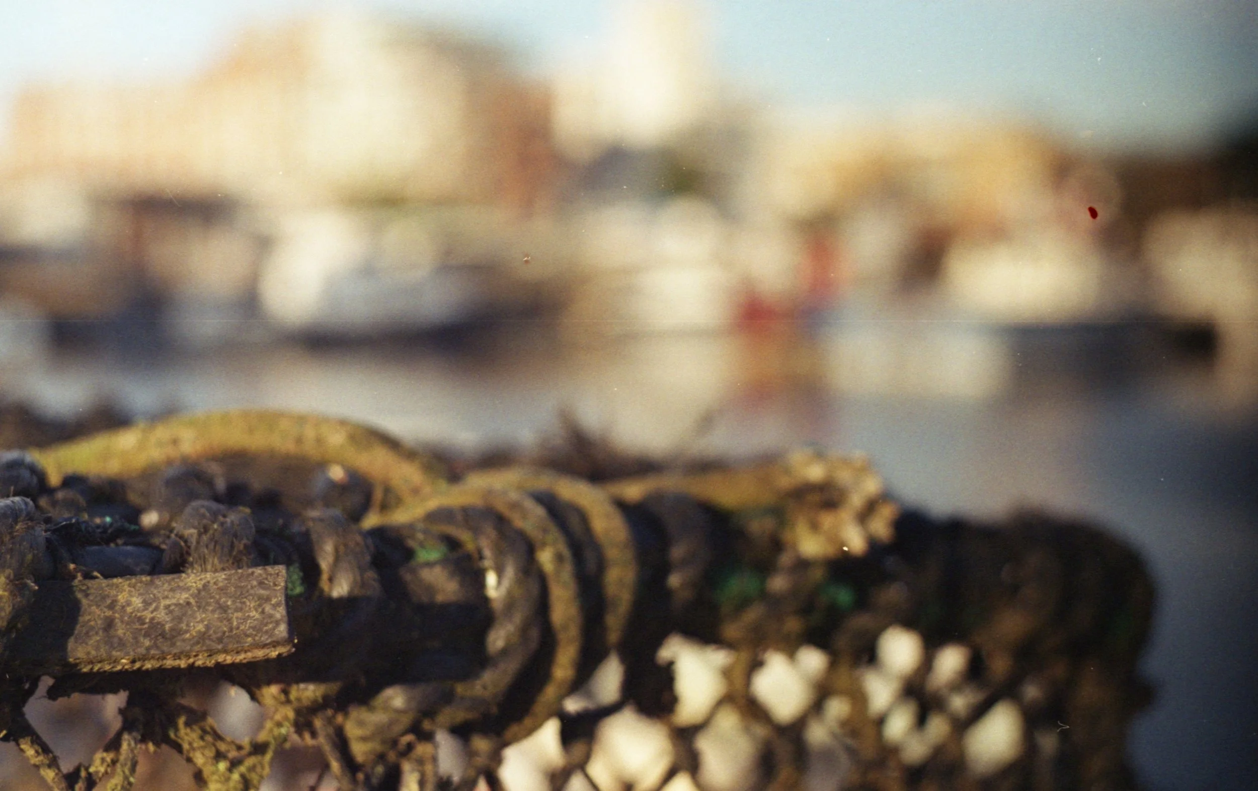 fuji colour 200 img10.jpg