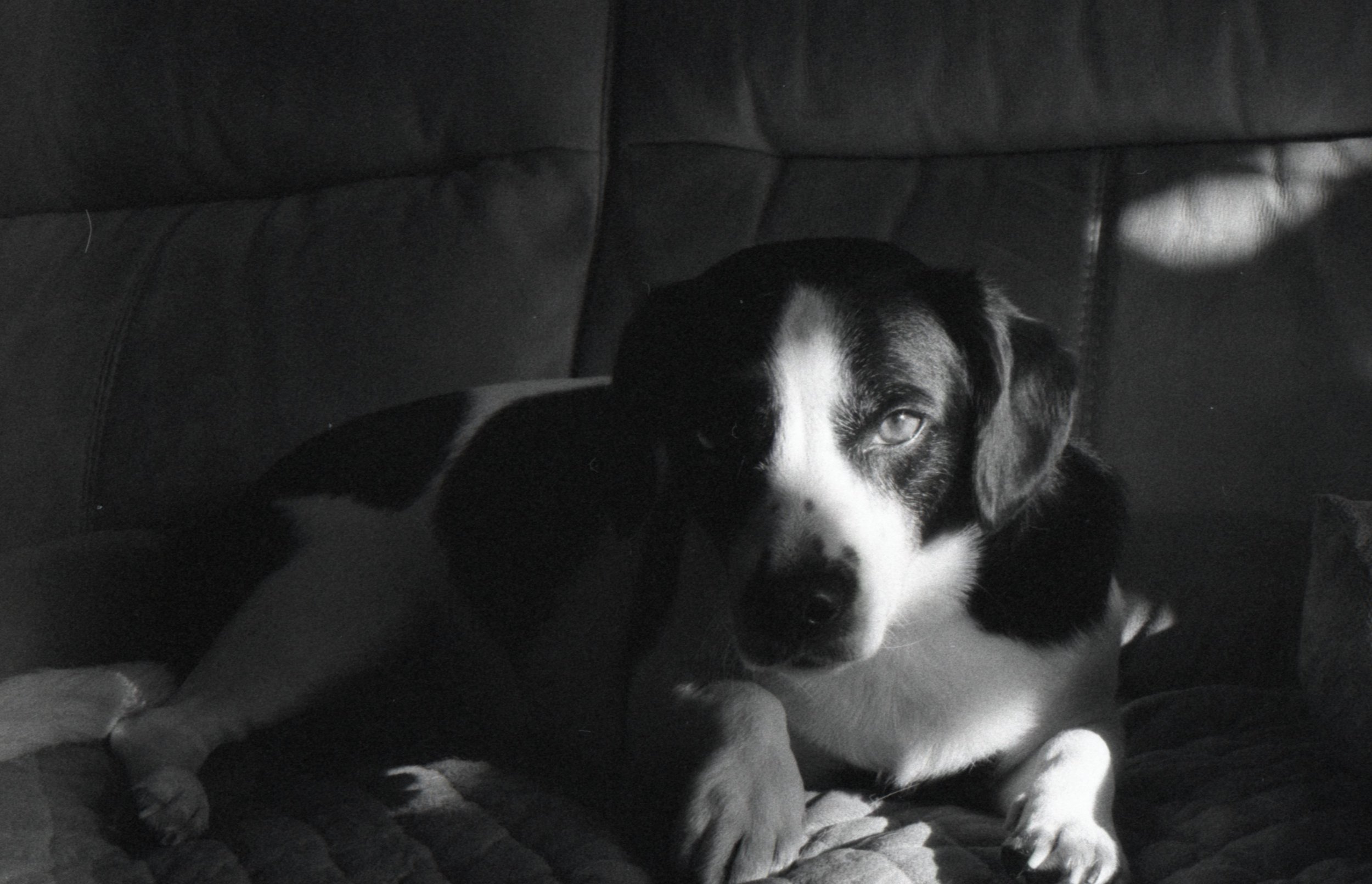 delta 3200 img30.jpg
