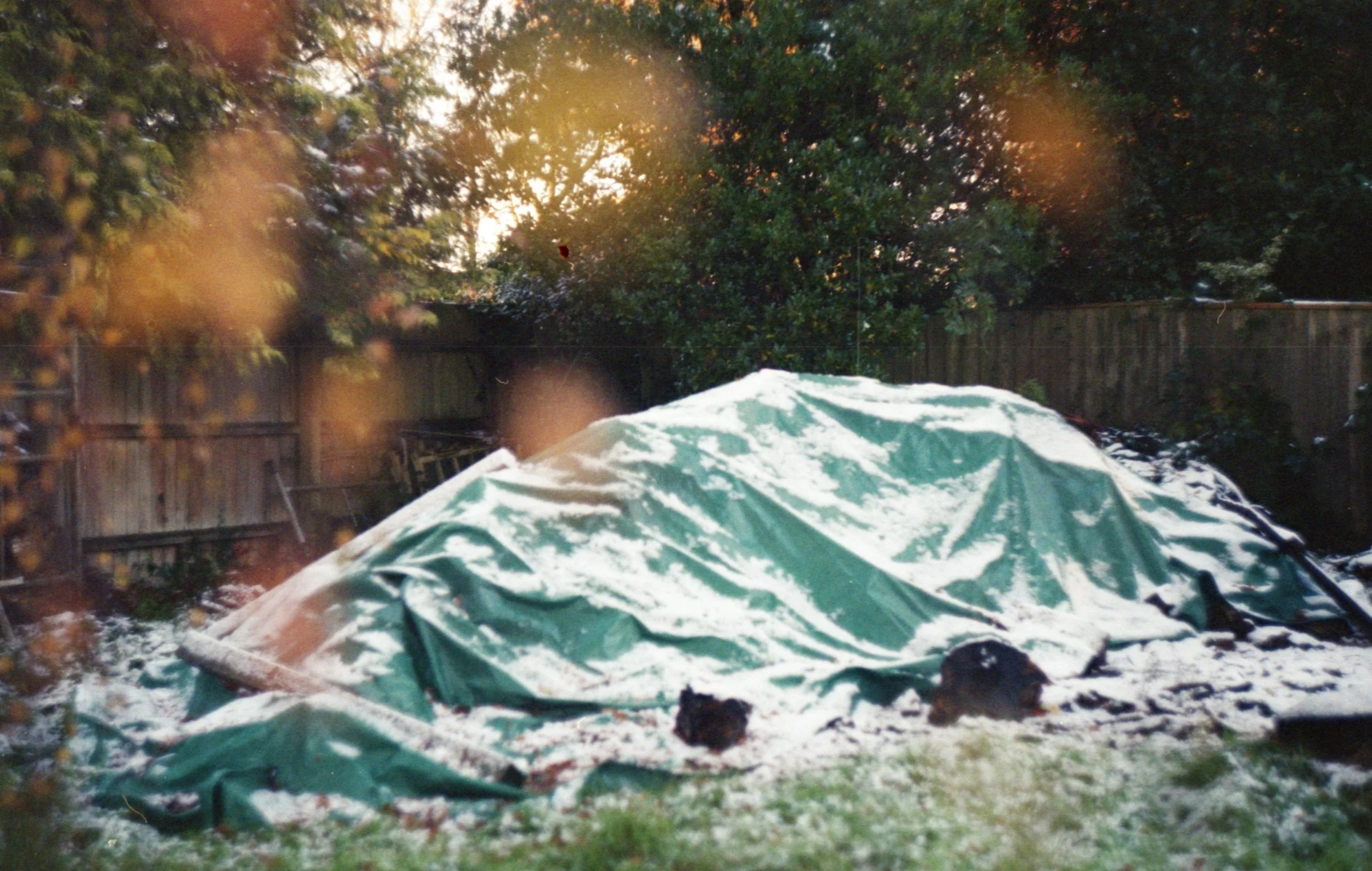 fuji colour 200 img25.jpg