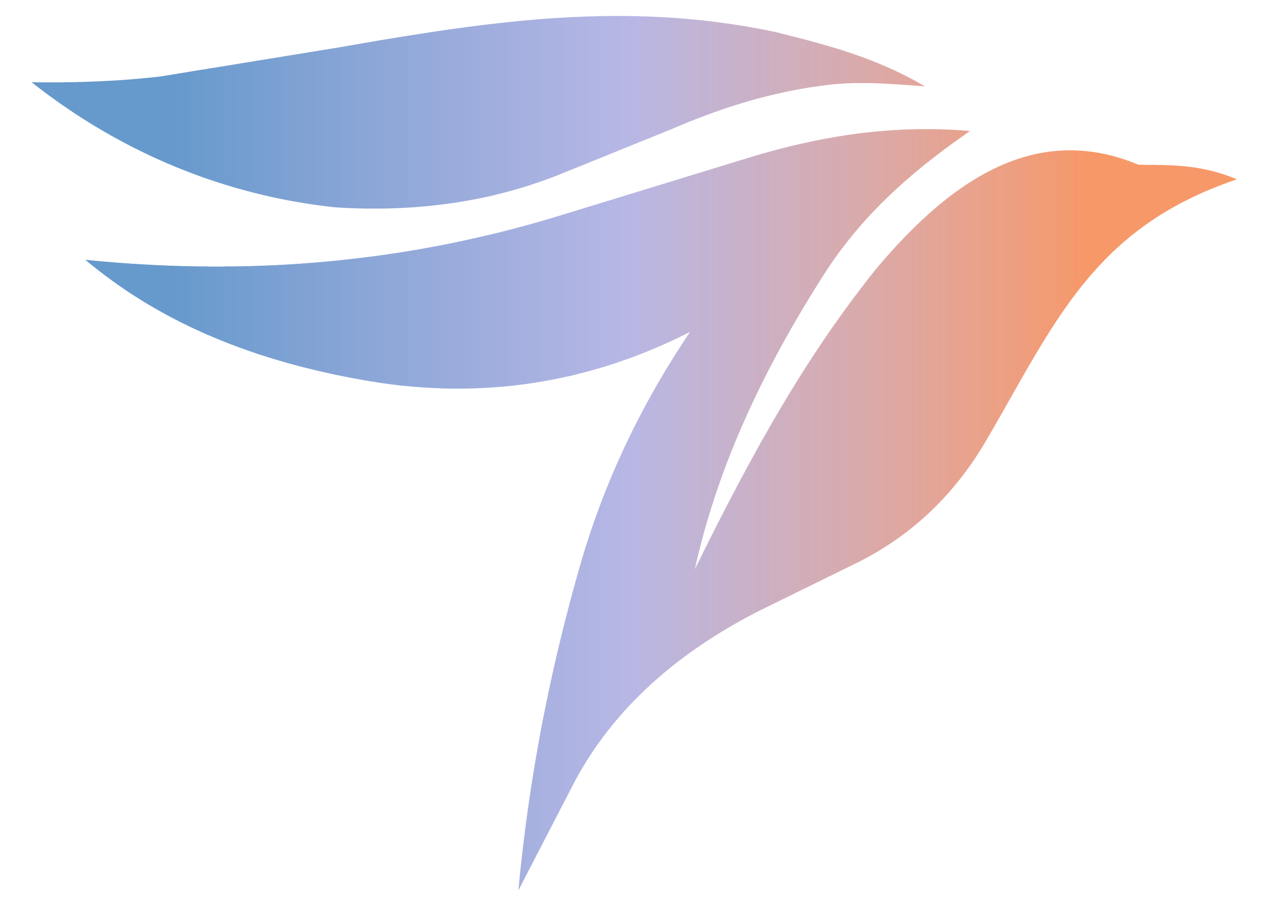 Birdie Foundation logo with blue to orange gradient