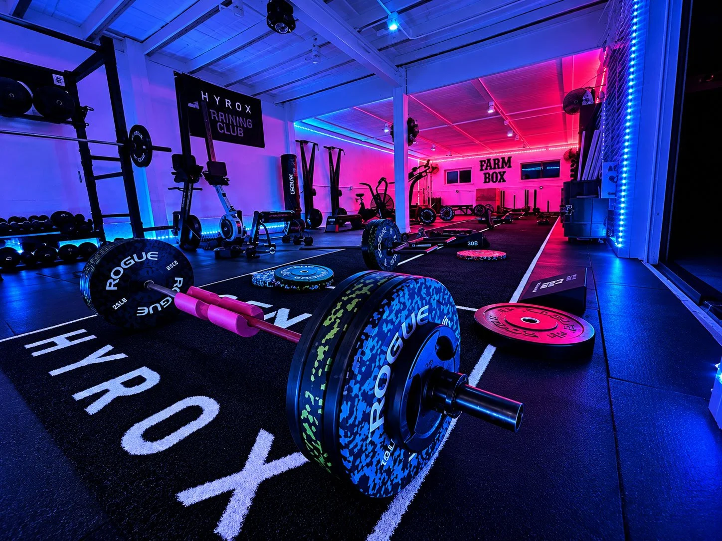 Inside a dimly lit gym with neon blue and pink lighting, featuring weightlifting equipment such as barbells and weight plates, a rowing machine, exercise bikes, and workout stations.