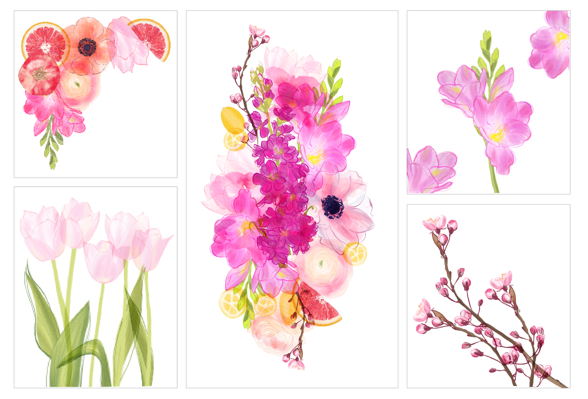 Anna_Schwarzer _Illustration_058.png