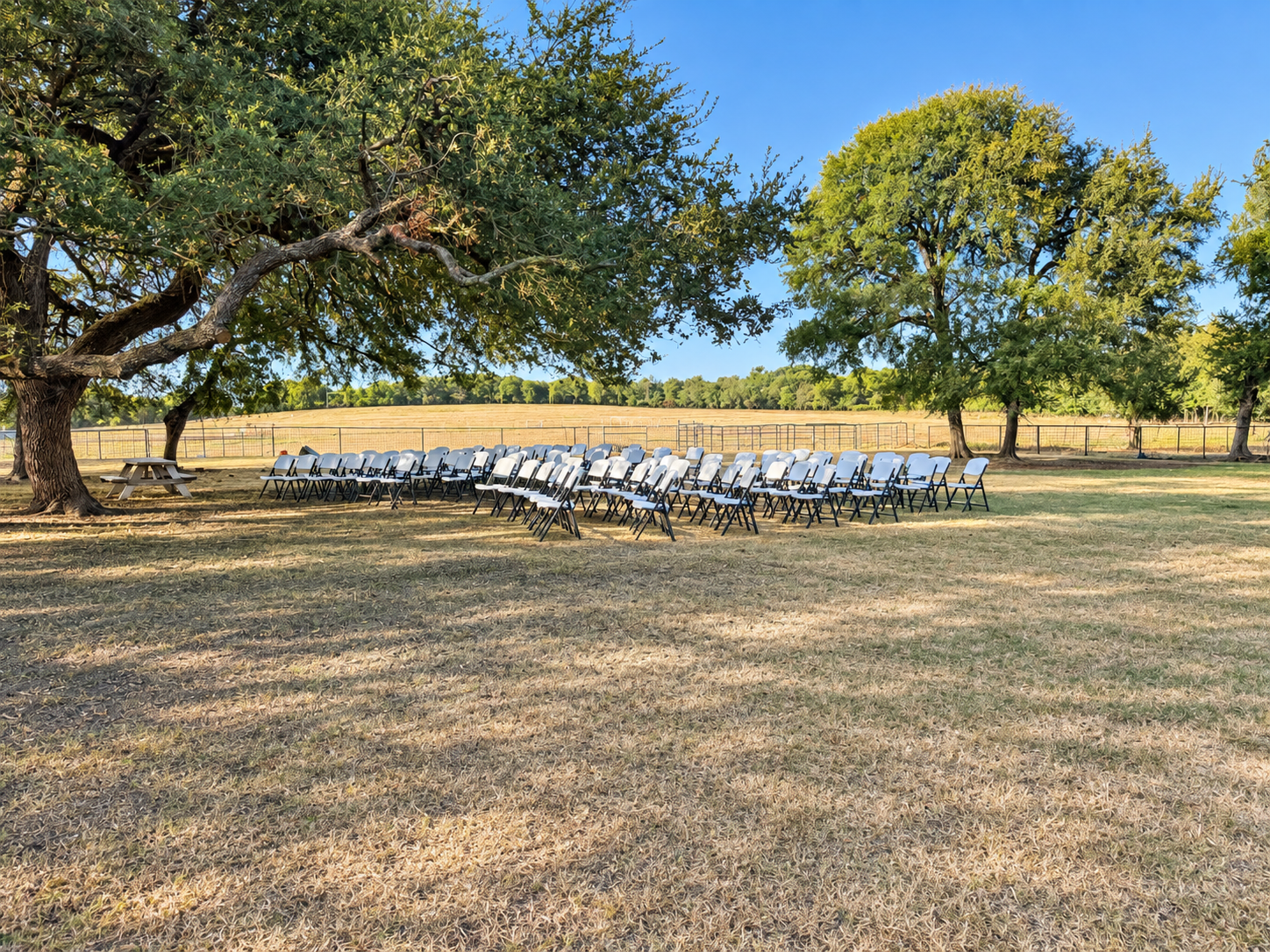 Outdoor scene with rows of white chairs set up under large trees in a grassy area, with a clear sky and open field in the background.
