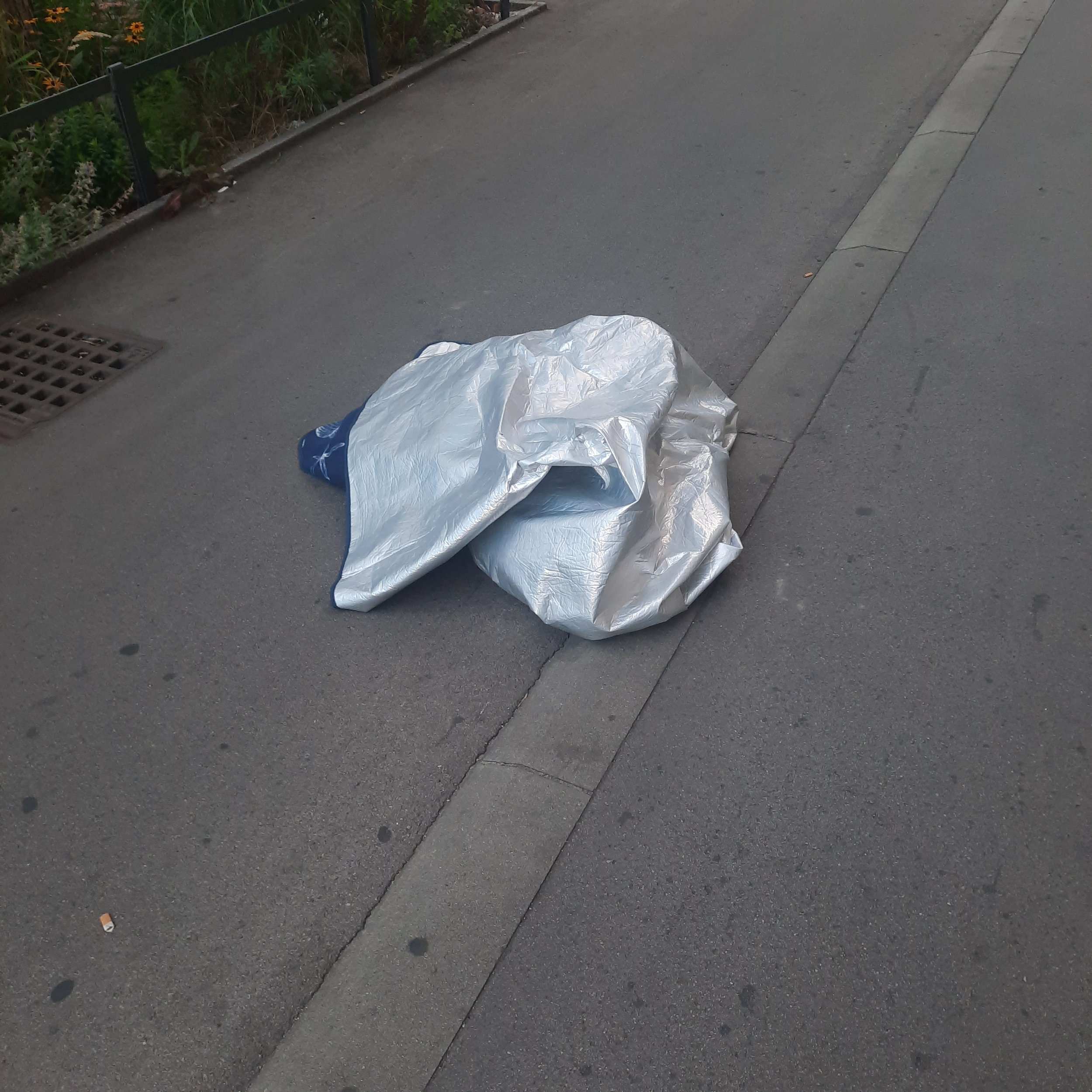 A crumpled plastic shopping bag lying on a sidewalk next to a storm drain. The sidewalk border has concrete paving stones, with a flower bed and green plants behind a metal fence in the background.