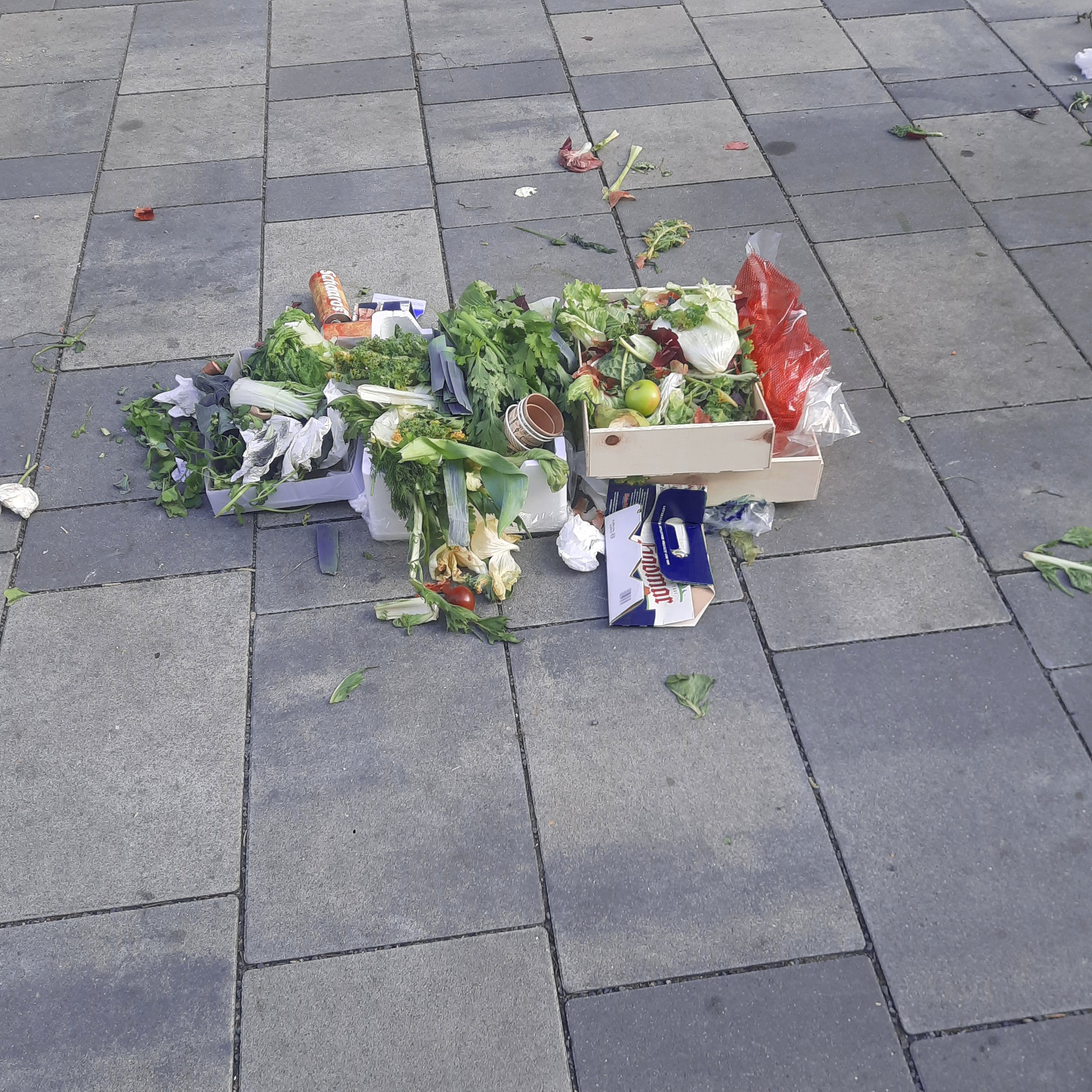 Litter on gray brick sidewalk, including discarded food wrappers, vegetable scraps, a paper cup, and a cardboard box.