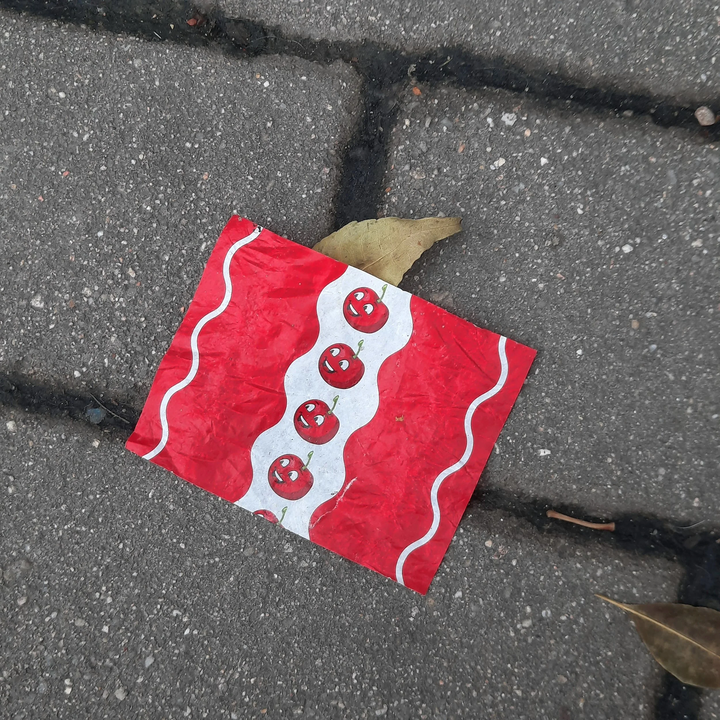 A red food bag with a cherry illustrations on the ground next to a dry yellow leaf and a small rock, on a paved surface.