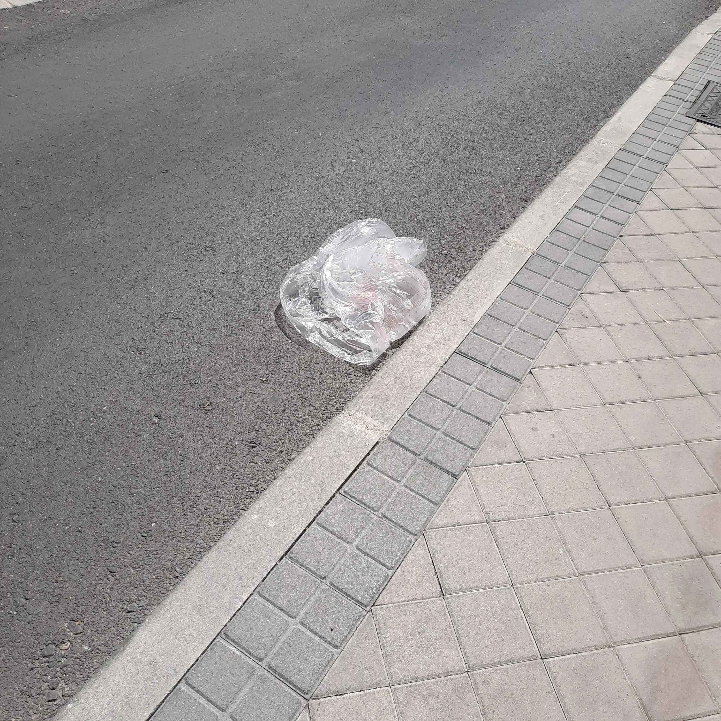 A plastic bag lying on the edge of a paved sidewalk next to an asphalt road.