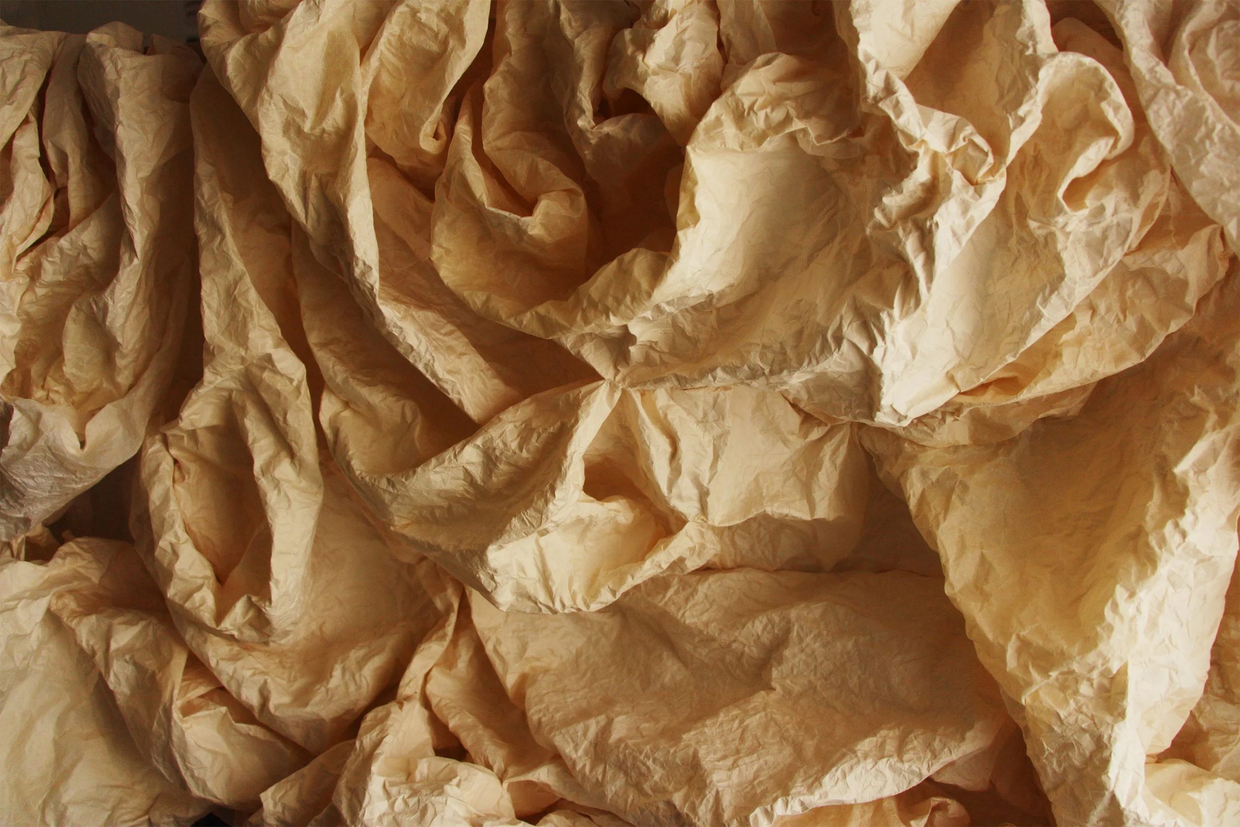 Close-up of crumpled light brown paper.