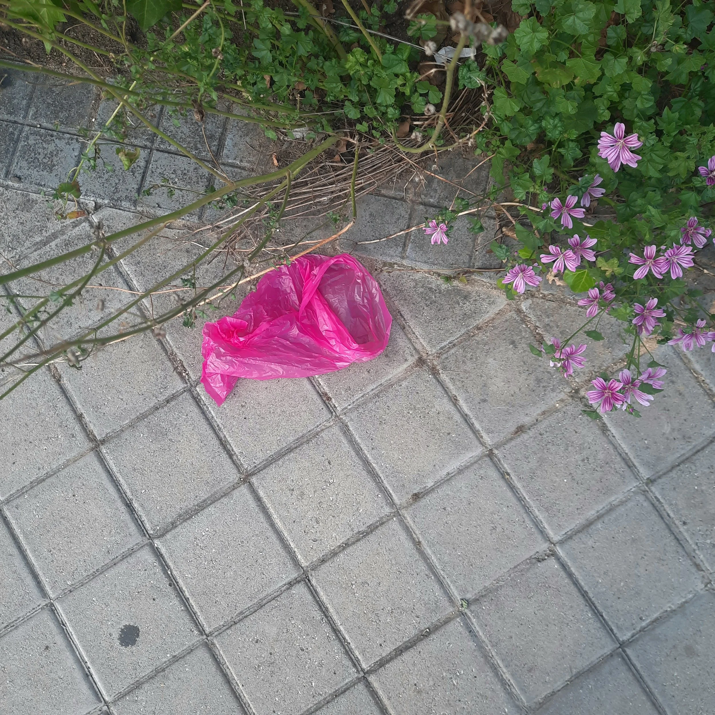 A pink plastic bag on the ground near some purple and white flowers and green leafy plants growing along a brick-paved walkway.