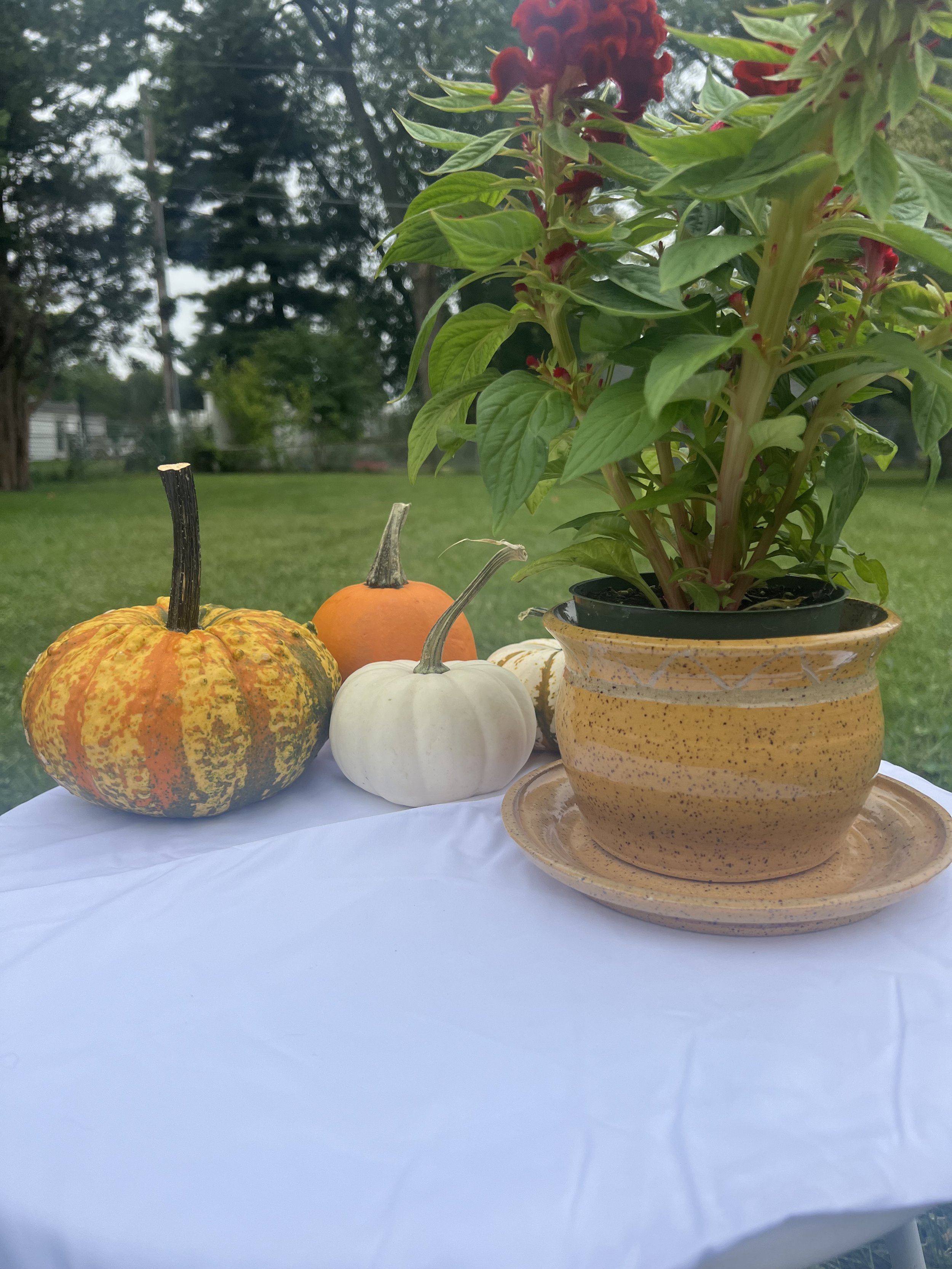 harvest