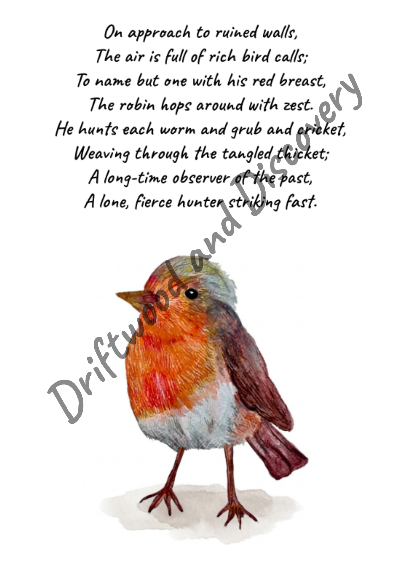 Driftwood and Discovery Sample 1.png