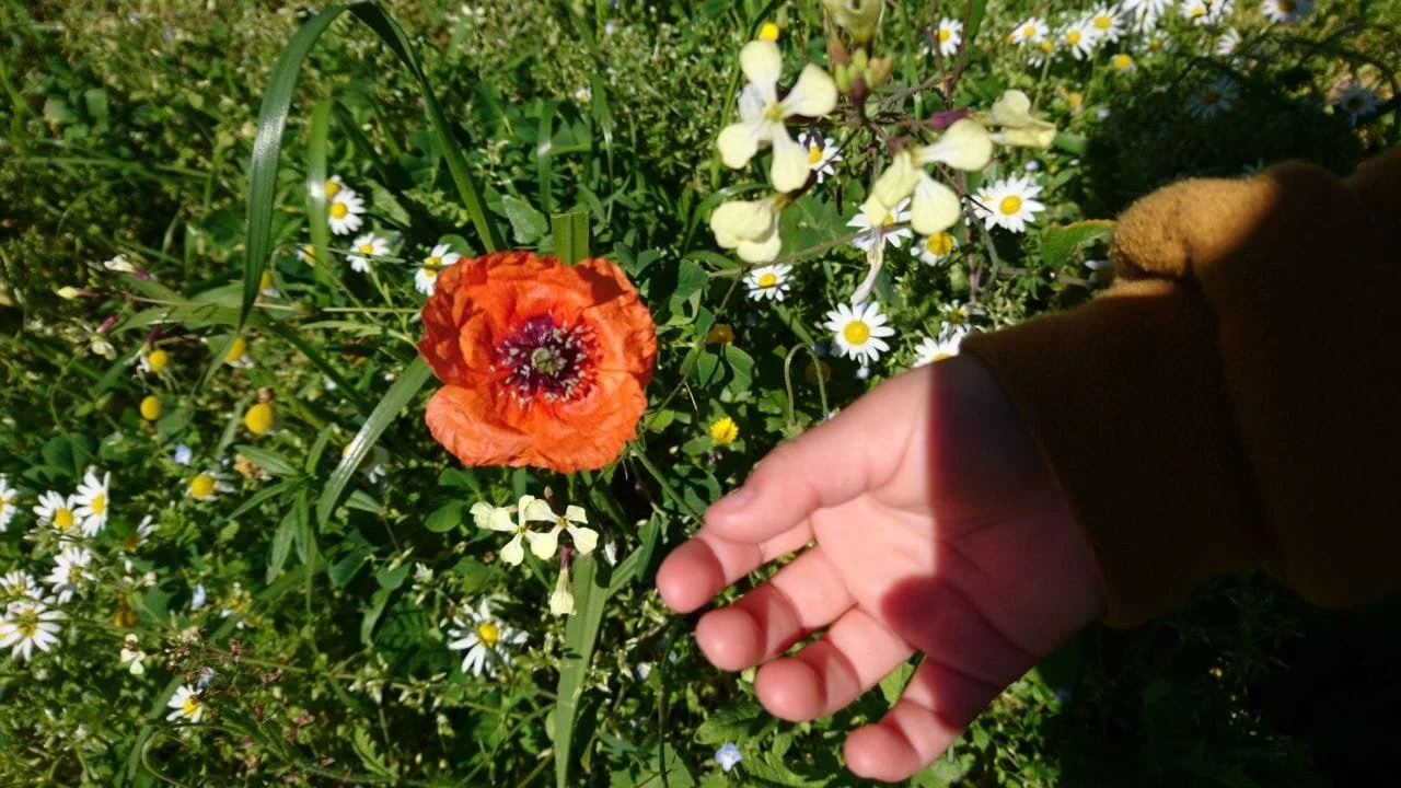Witch Flowers 2.jpeg