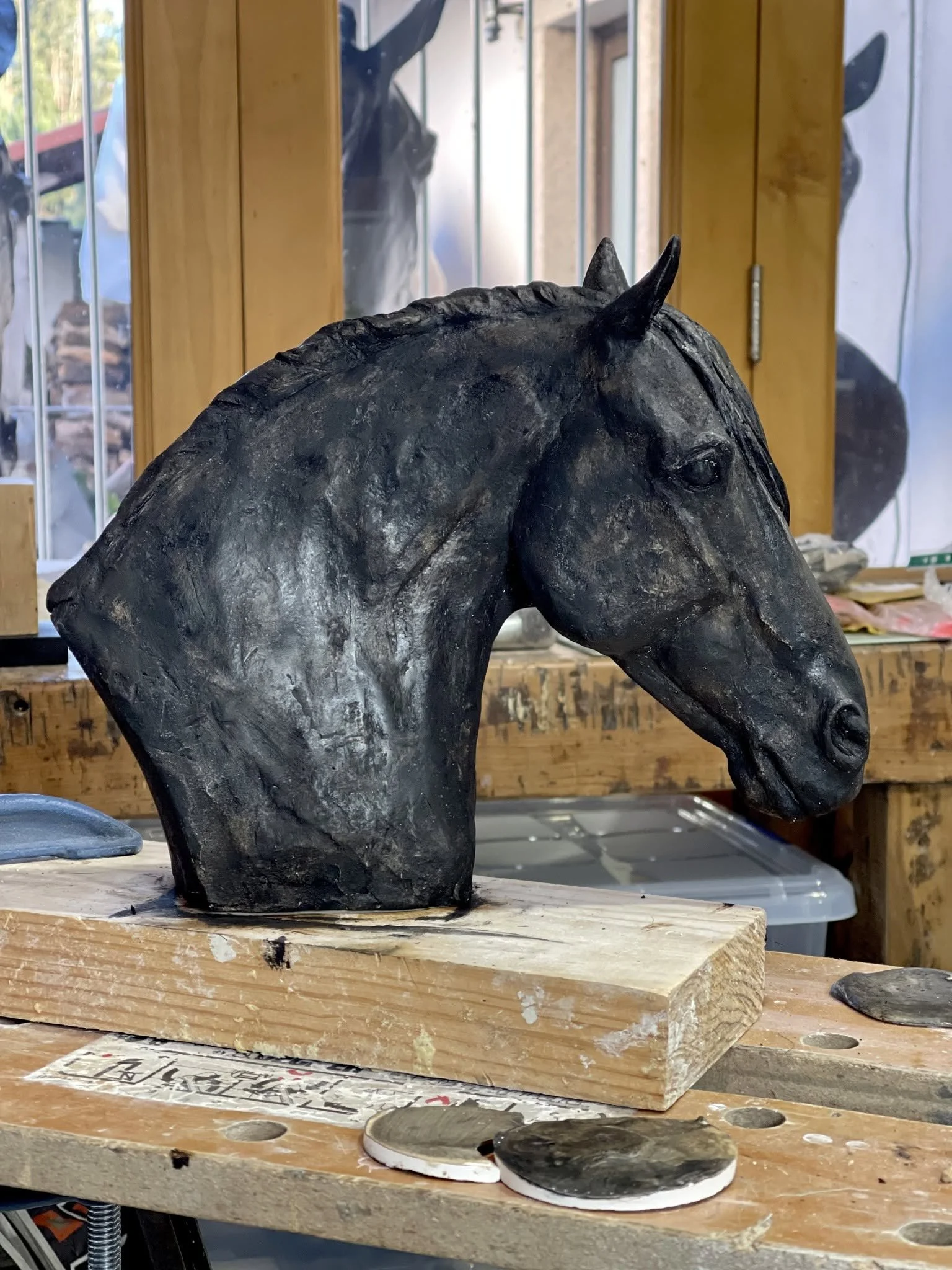 Carolyn Morton Horse.jpg