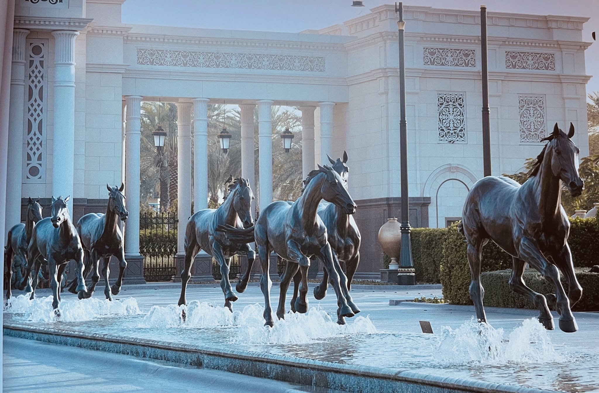 Carolyn Morton Horses 1.jpg