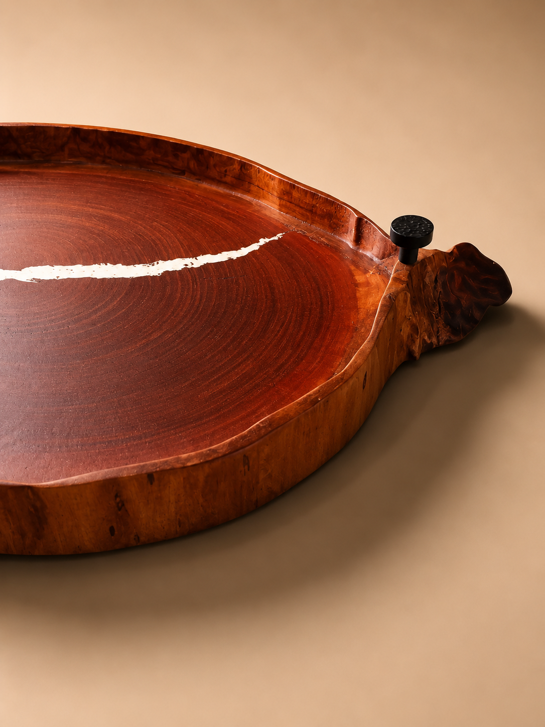 Gralha design.png