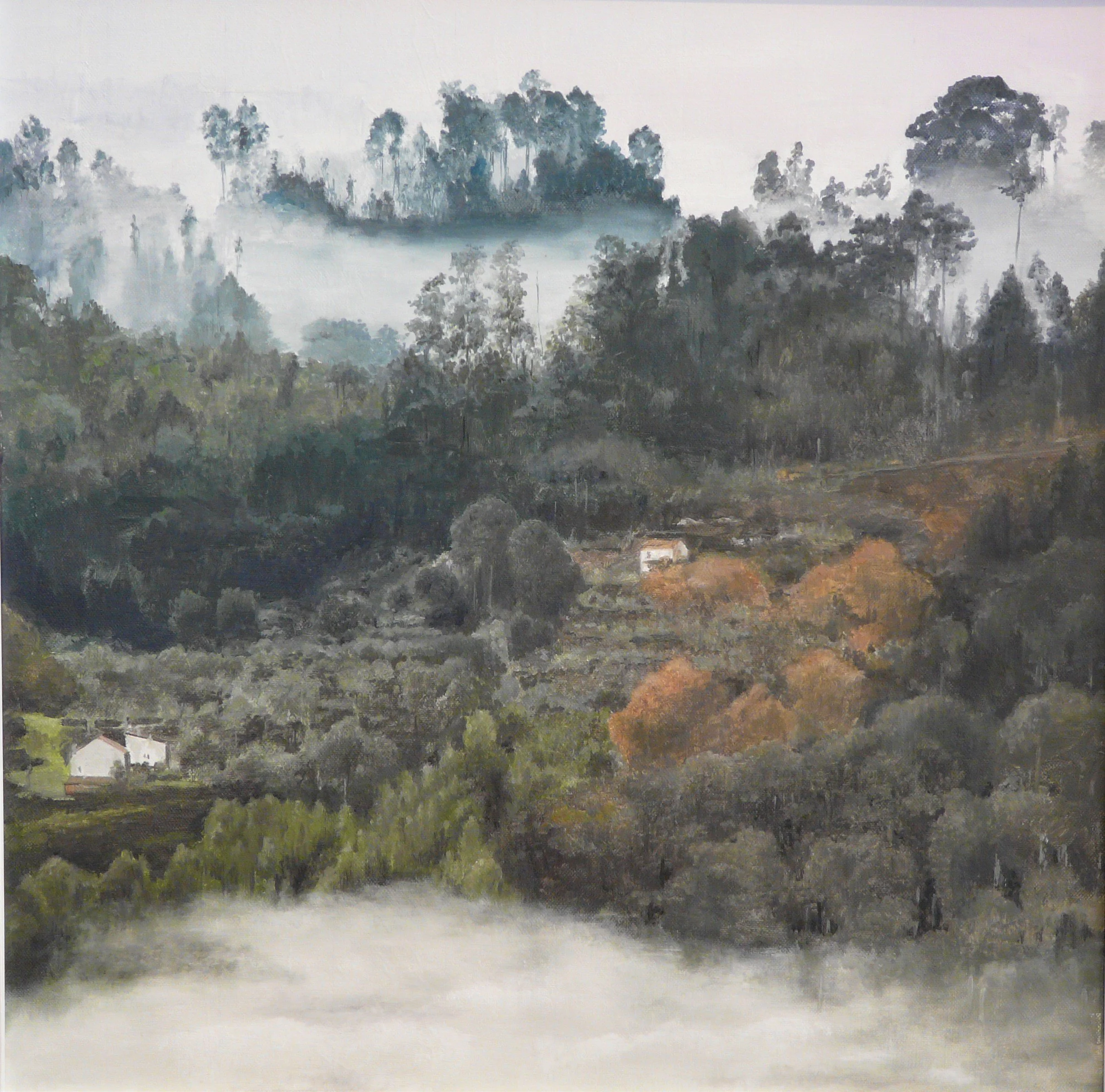 Misty morning 3.JPG